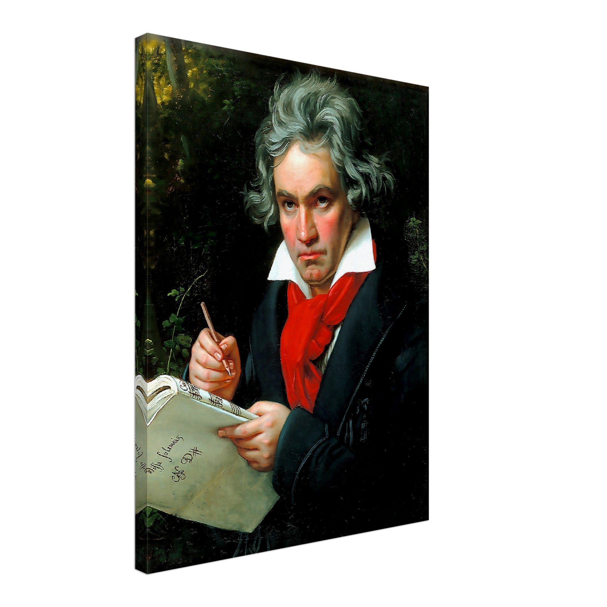 Beethoven Canvas, 18th Century Composer, Vintage Portrait Canvas Print - Ludwig Van Beethoven Canvas Print - WallArtPrints4U