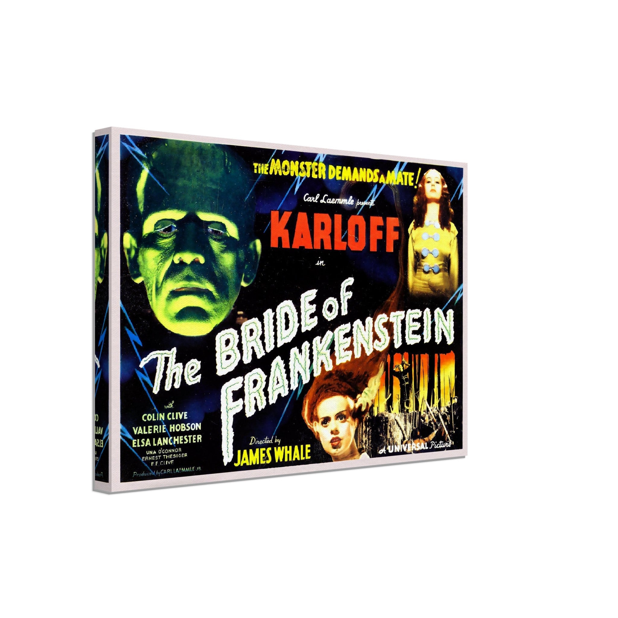 Bride Of Frankenstein Canvas, Vintage Horror Movie Canvas 1935 Canvas Film Art - Boris Karloff - Elsa Lancaster - WallArtPrints4U