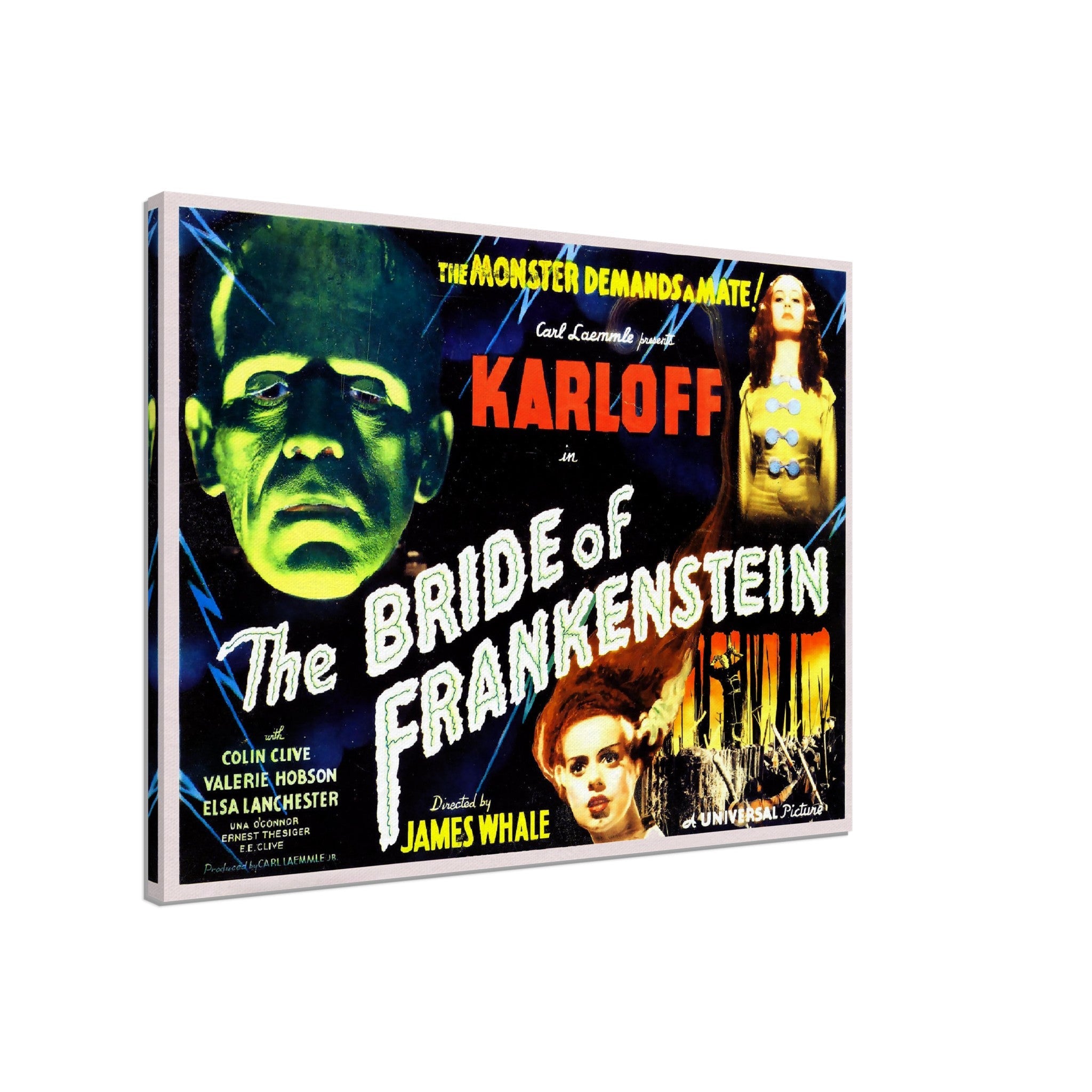 Bride Of Frankenstein Canvas, Vintage Horror Movie Canvas 1935 Canvas Film Art - Boris Karloff - Elsa Lancaster - WallArtPrints4U