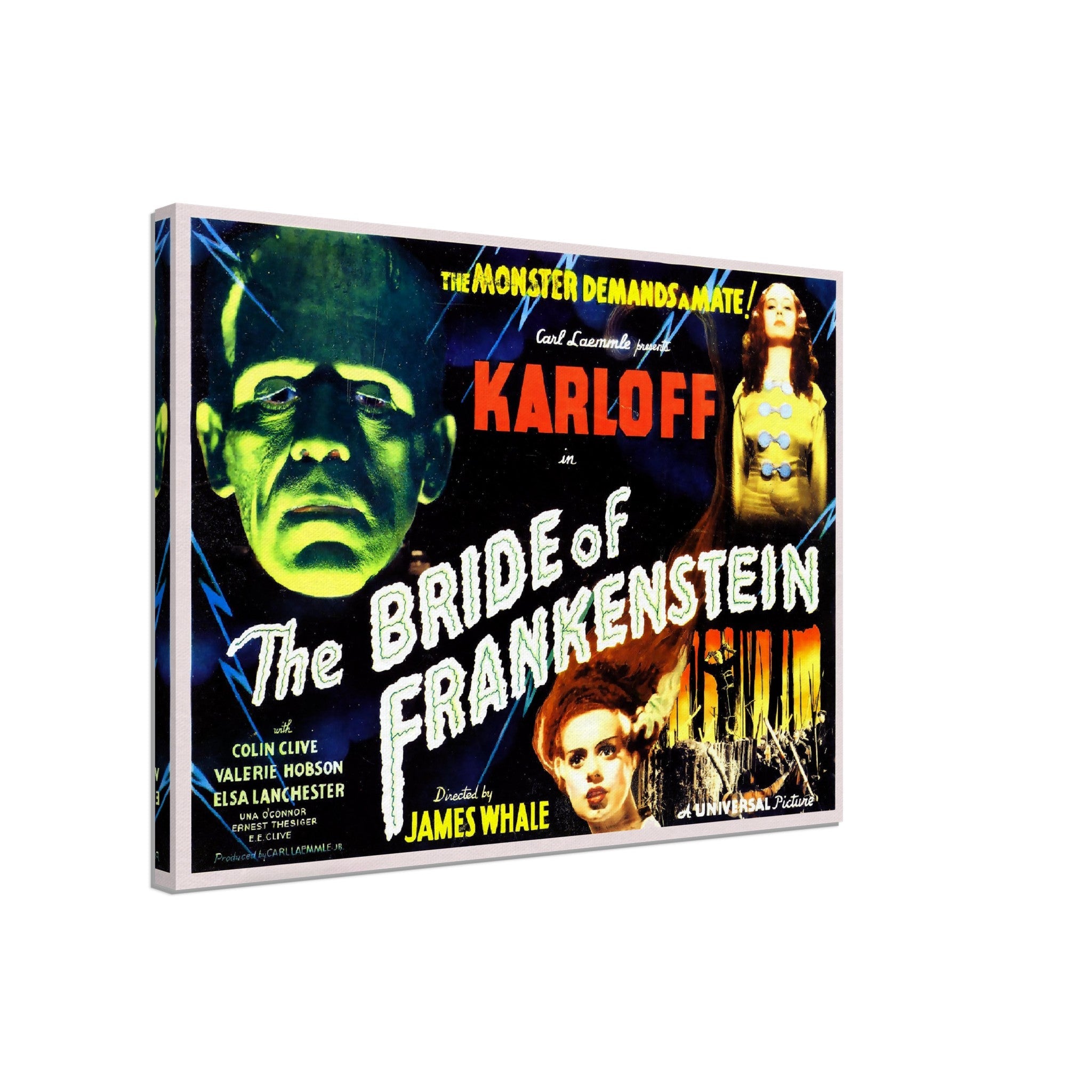 Bride Of Frankenstein Canvas, Vintage Horror Movie Canvas 1935 Canvas Film Art - Boris Karloff - Elsa Lancaster - WallArtPrints4U