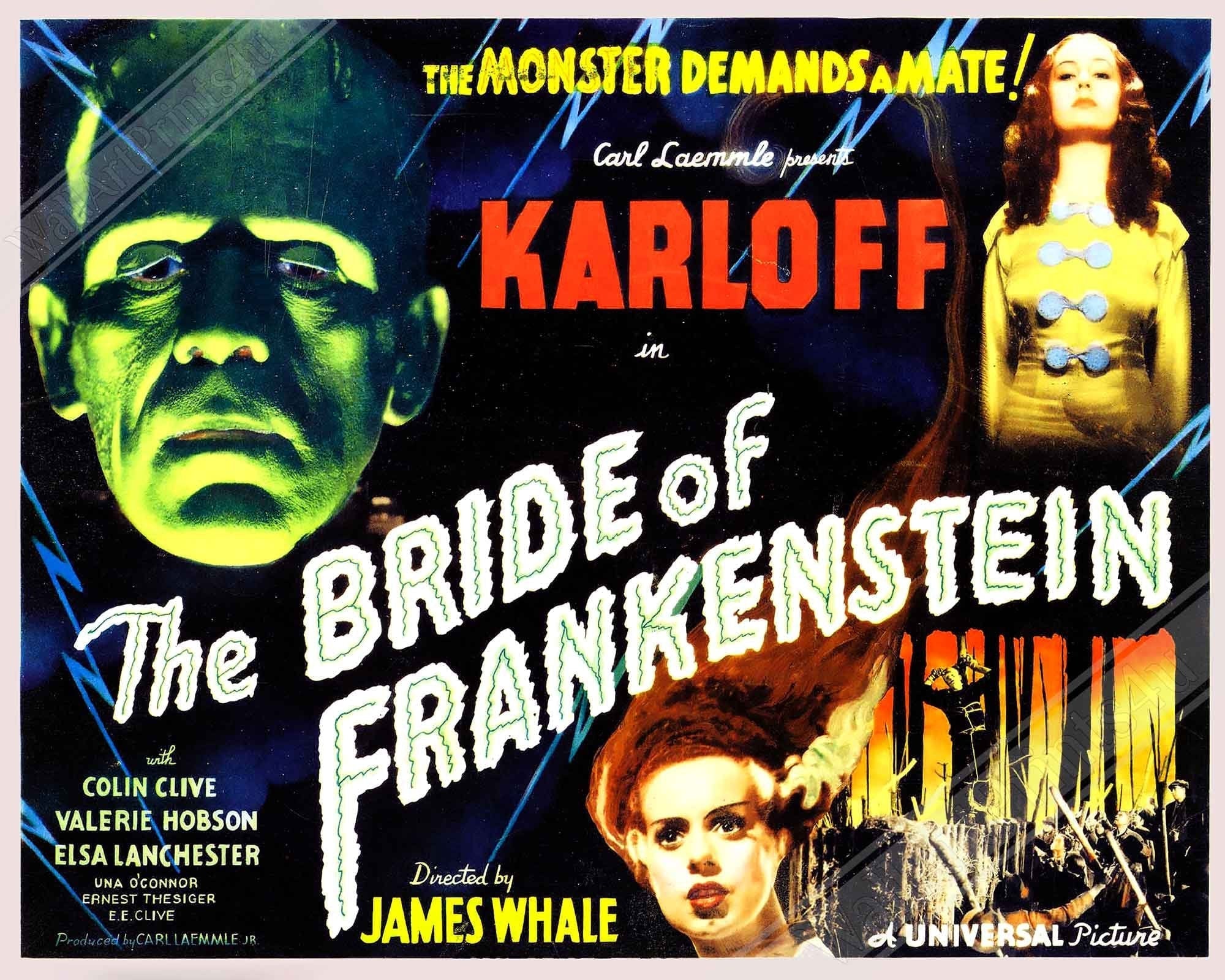 Bride Of Frankenstein Canvas, Vintage Horror Movie Canvas 1935 Canvas Film Art - Boris Karloff - Elsa Lancaster - WallArtPrints4U