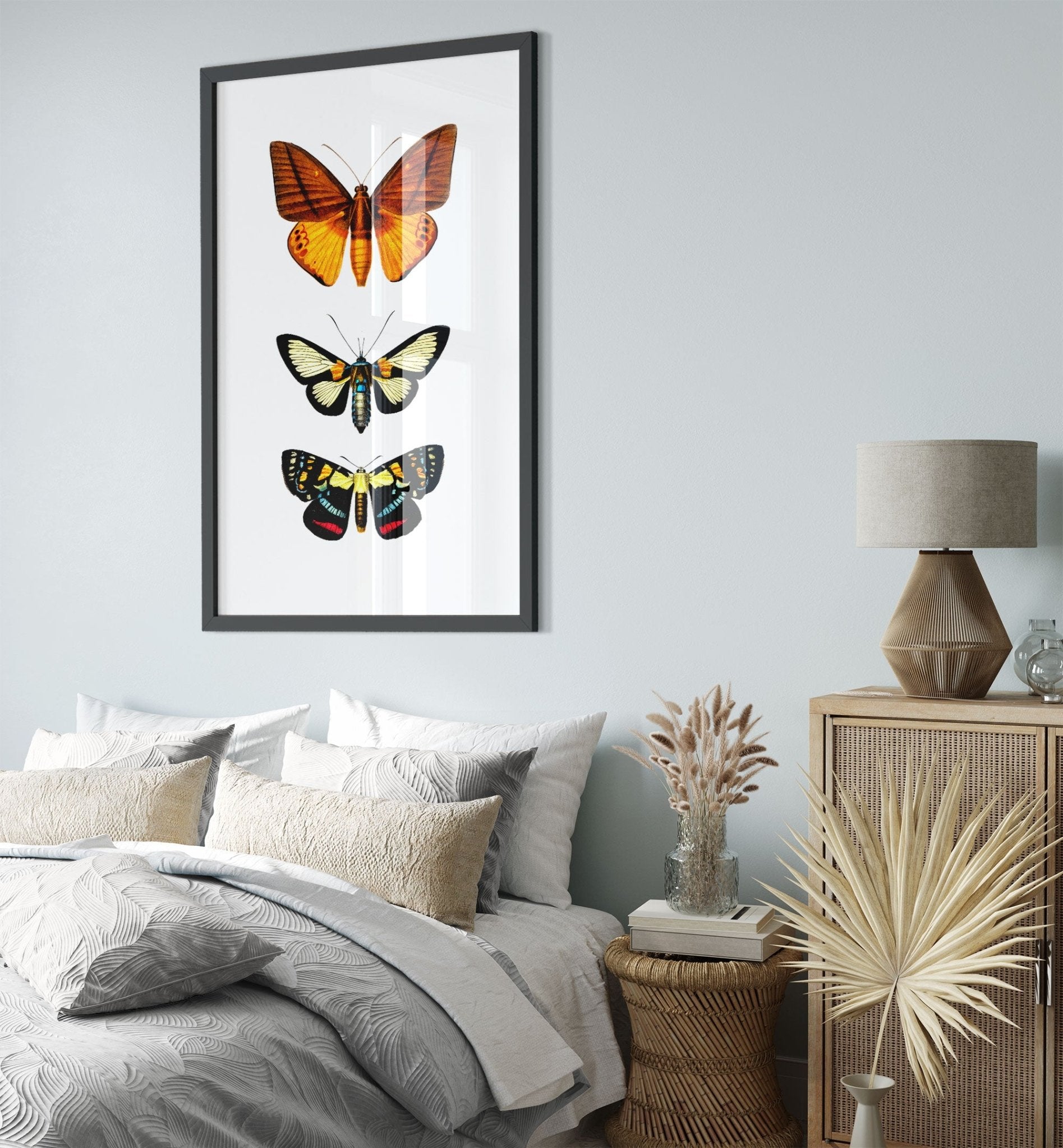 Butterfly Framed, Set Of 3 Butterfly Species, Charles Dessalines, Vintage Wall Art Butterflies Framed Print - WallArtPrints4U