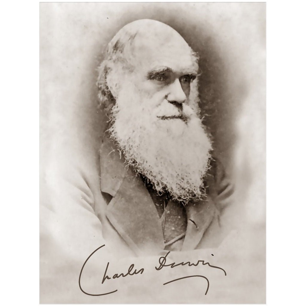 Charles Darwin Framed, Evolution Theory Vintage Photo With Signature Charles Darwin Framed Print - WallArtPrints4U