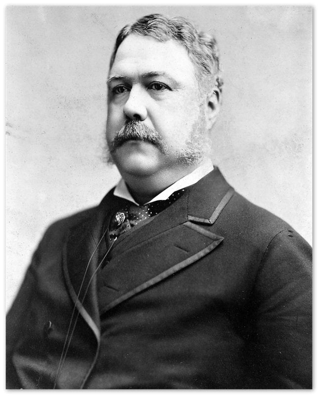 Chester Arthur Poster, 21st President Of Usa, Vintage Photo Portrait - Chester Arthur Print - WallArtPrints4U