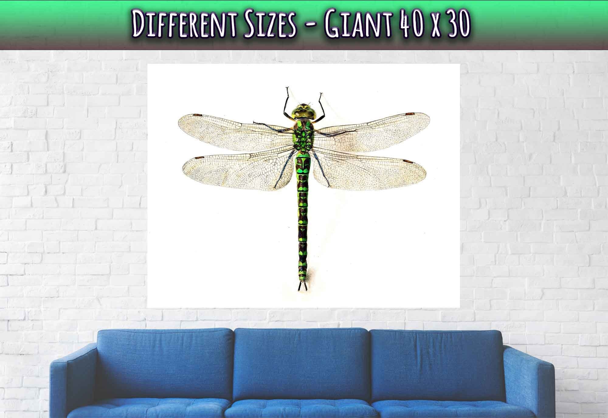 Dragonfly Poster, Giant Dragonfly Print, Vintage Dragonfly Painting 16th Century - WallArtPrints4U