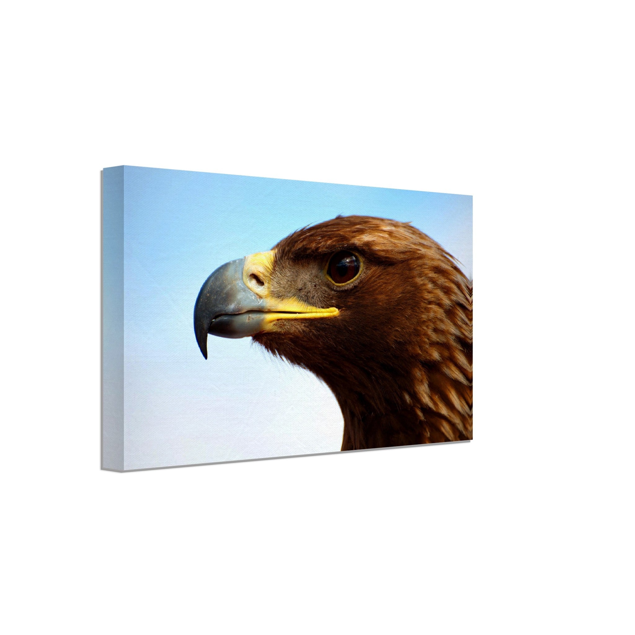 Eagle Canvas, Golden Eagle Canvas Print Bird Of Prey Canvas - WallArtPrints4U