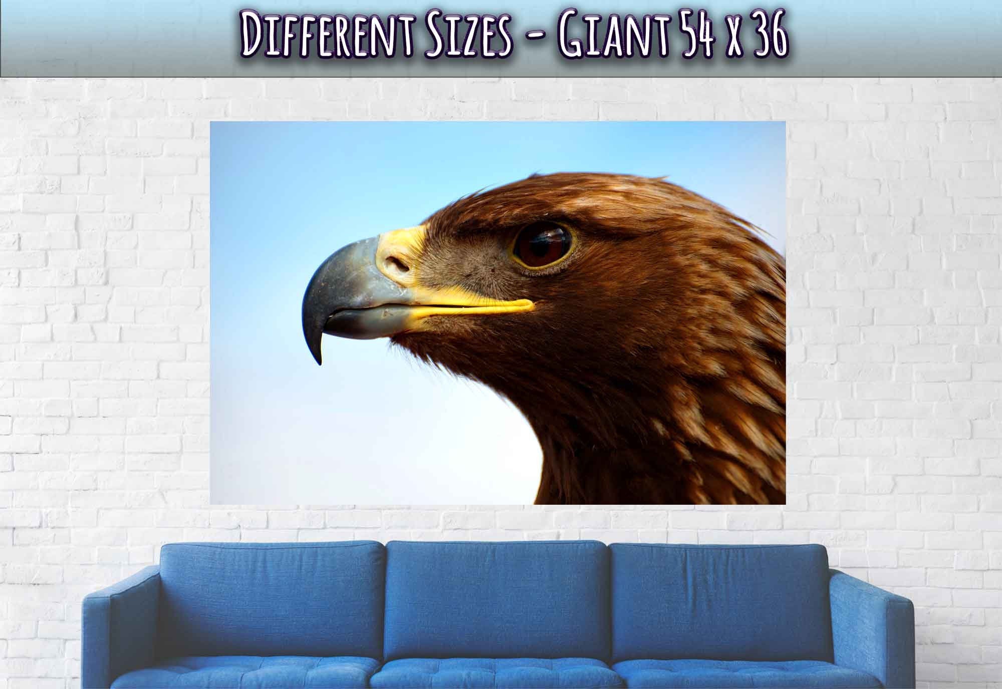 Eagle Poster, Golden Eagle Print Bird Of Prey Poster - WallArtPrints4U