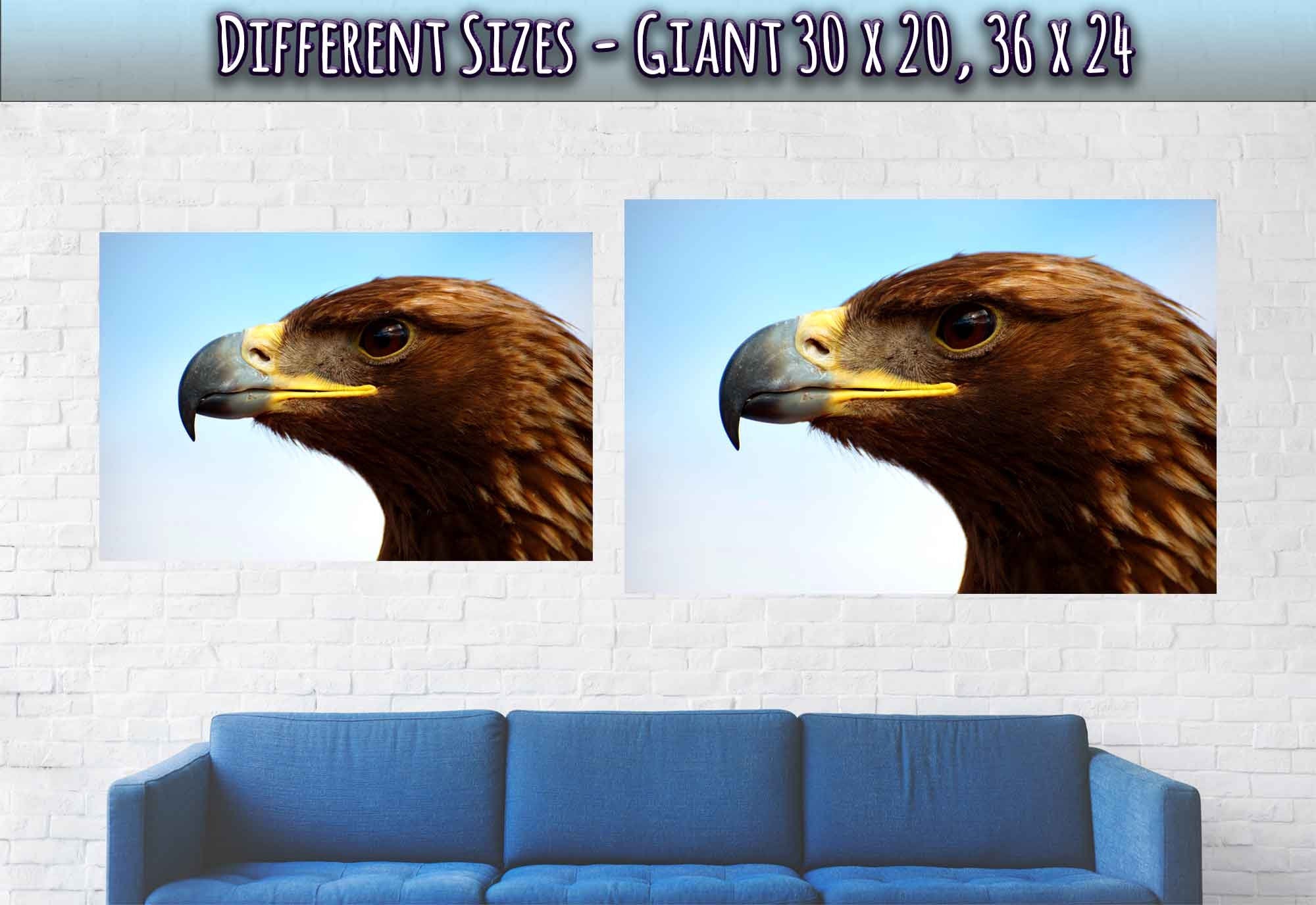 Eagle Poster, Golden Eagle Print Bird Of Prey Poster - WallArtPrints4U