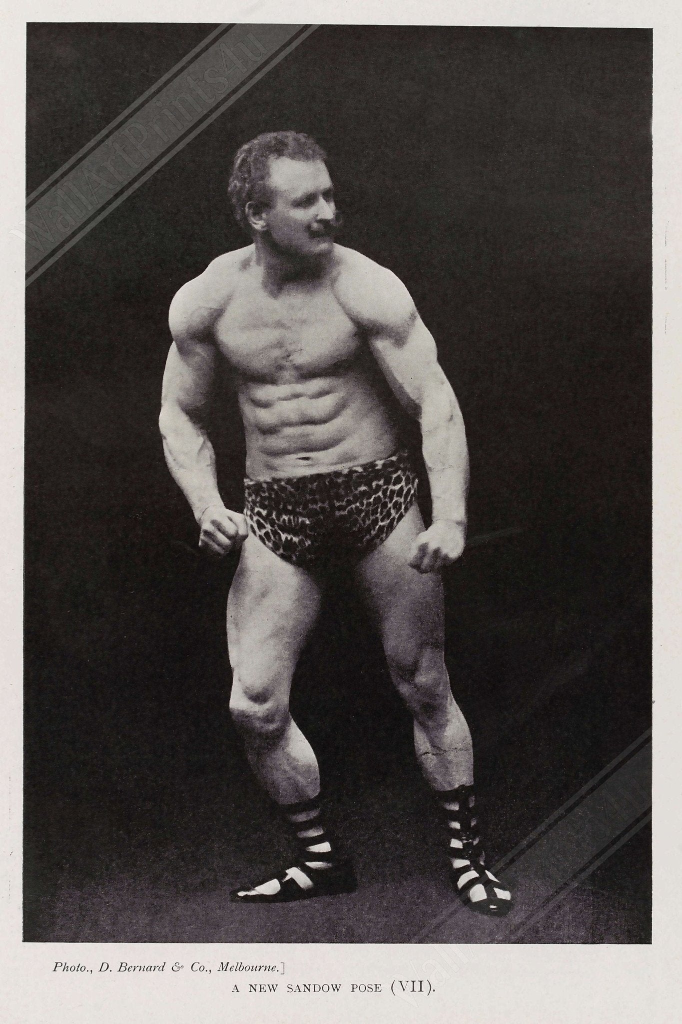 Eugen Sandow Poster, Victorian Bodybuilder, Vintage Photo Eugen Sandow Print - Victorian Strongman Beefcake - WallArtPrints4U