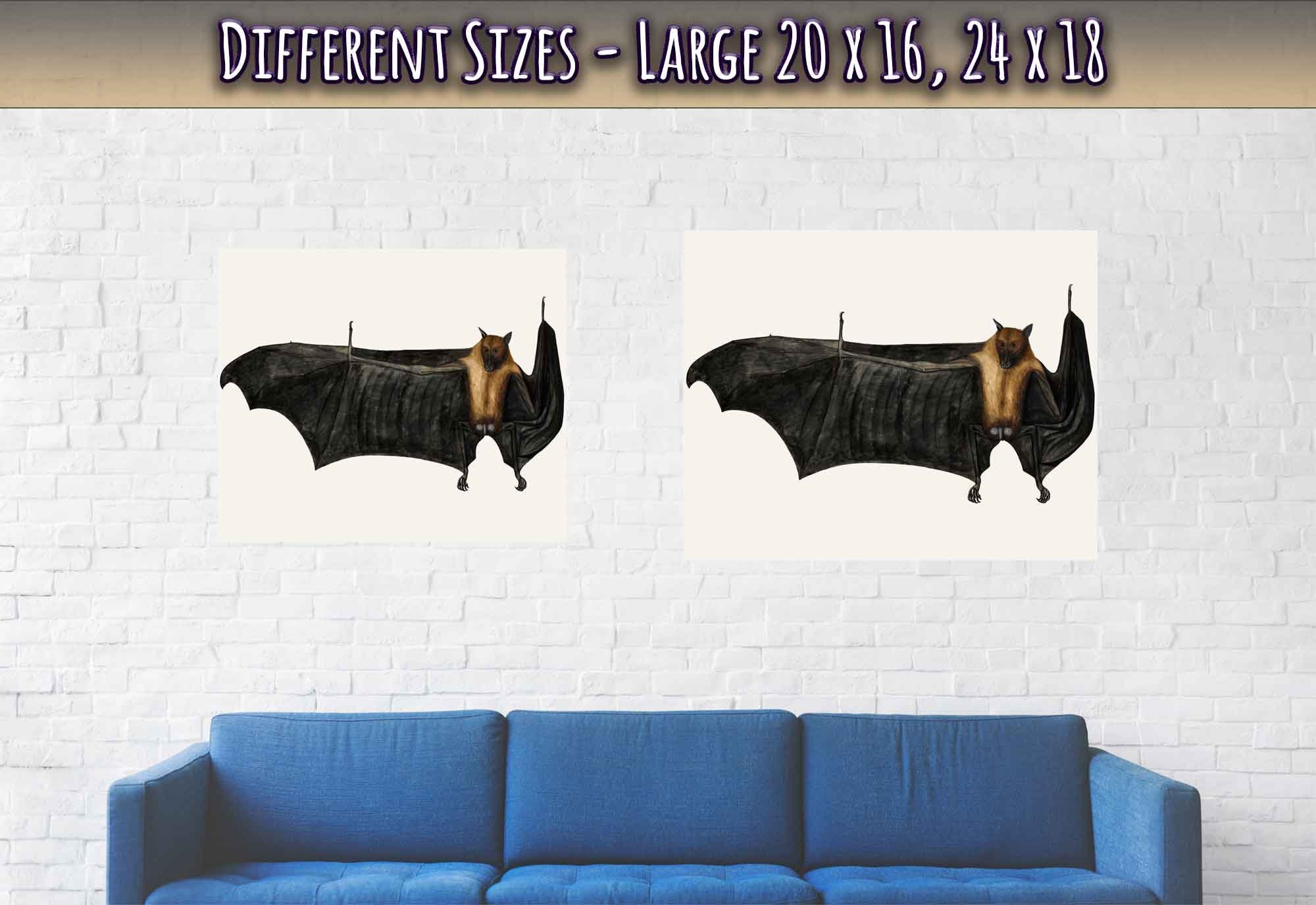 Fruit Bat Poster, Vintage Indian Fruit Bat Art - Vintage Fruit Bat Print - WallArtPrints4U