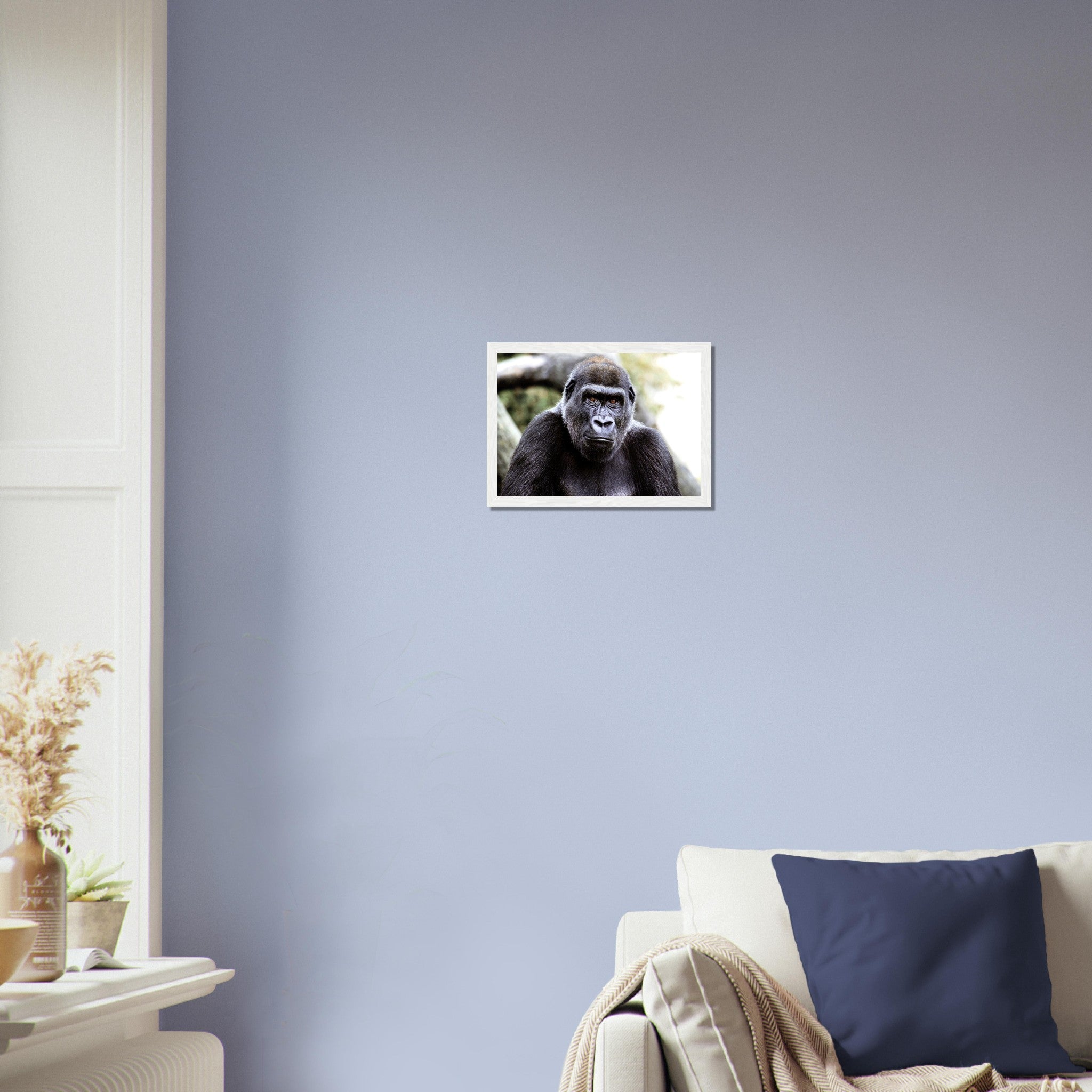 Gorilla Framed Print , Handsome Gorilla Smithsonian National Zoo 2002 - WallArtPrints4U