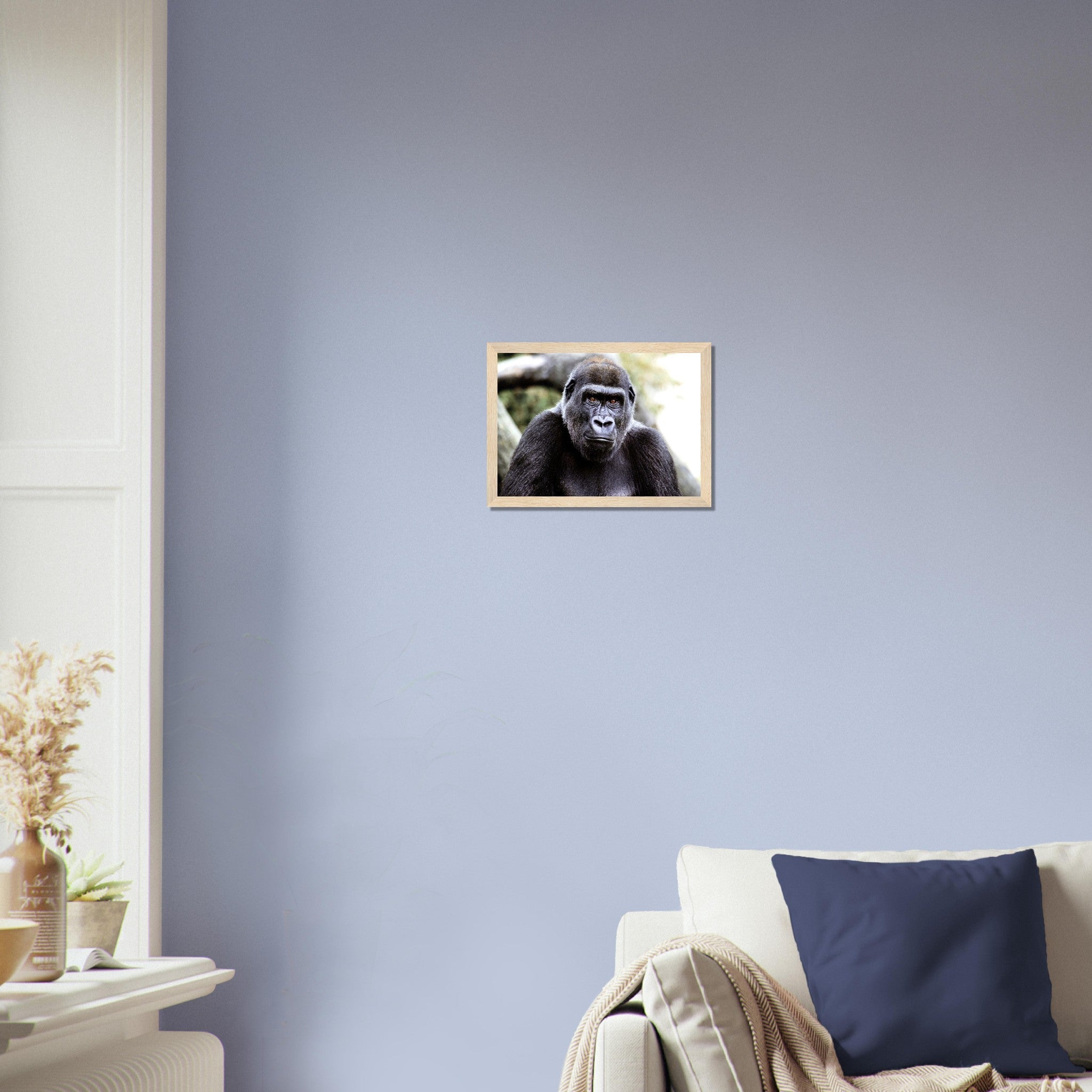 Gorilla Framed Print , Handsome Gorilla Smithsonian National Zoo 2002 - WallArtPrints4U