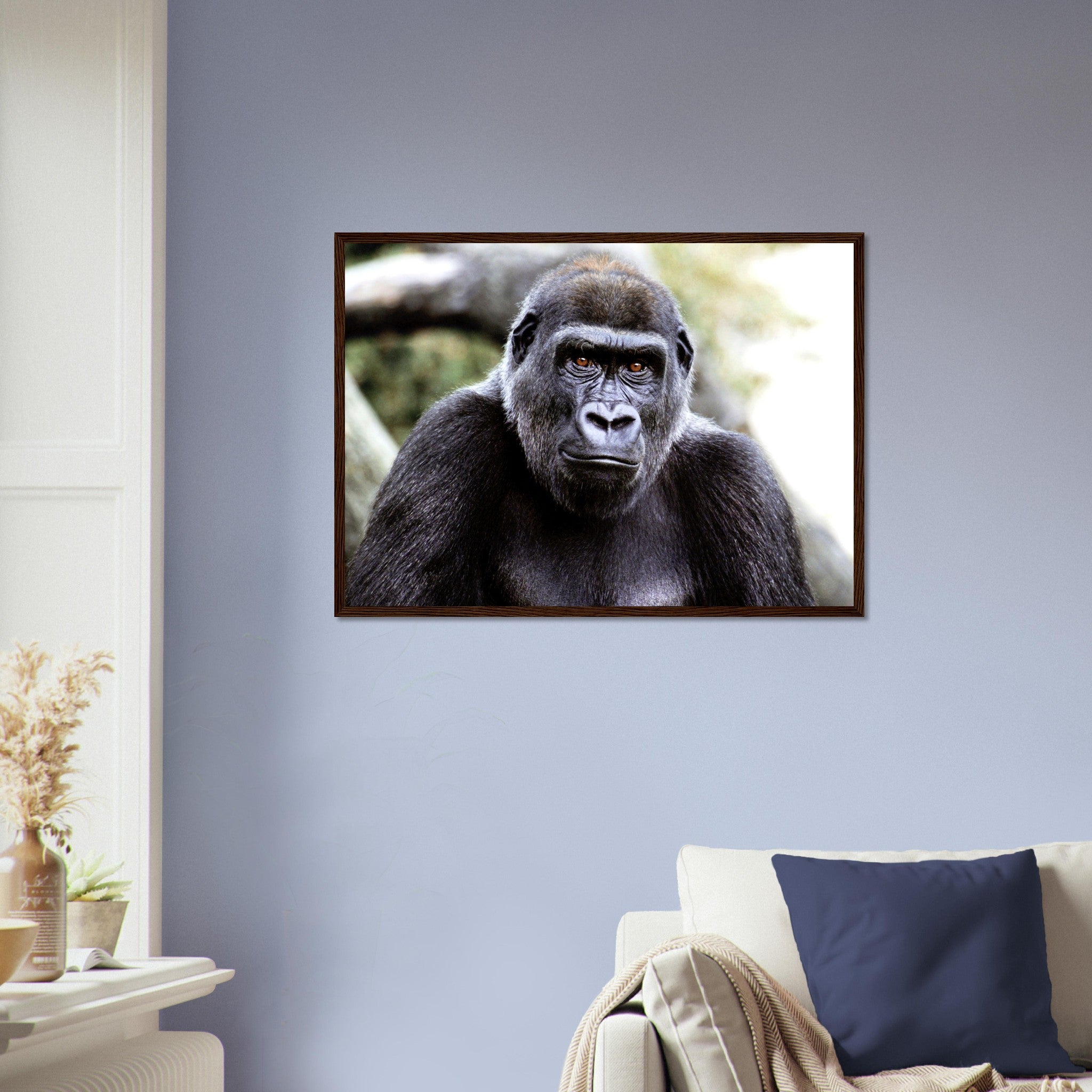 Gorilla Framed Print , Handsome Gorilla Smithsonian National Zoo 2002 - WallArtPrints4U