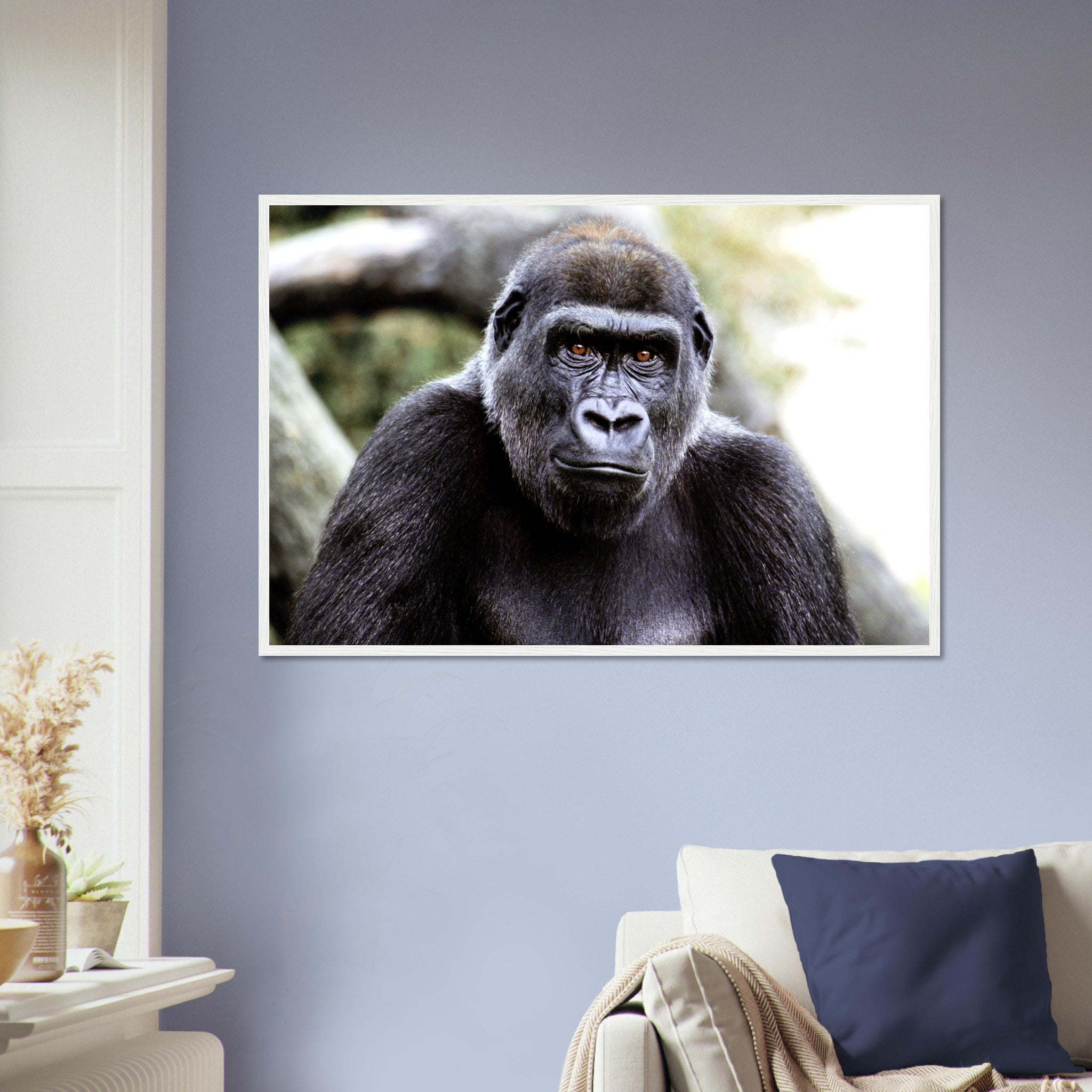 Gorilla Framed Print , Handsome Gorilla Smithsonian National Zoo 2002 - WallArtPrints4U