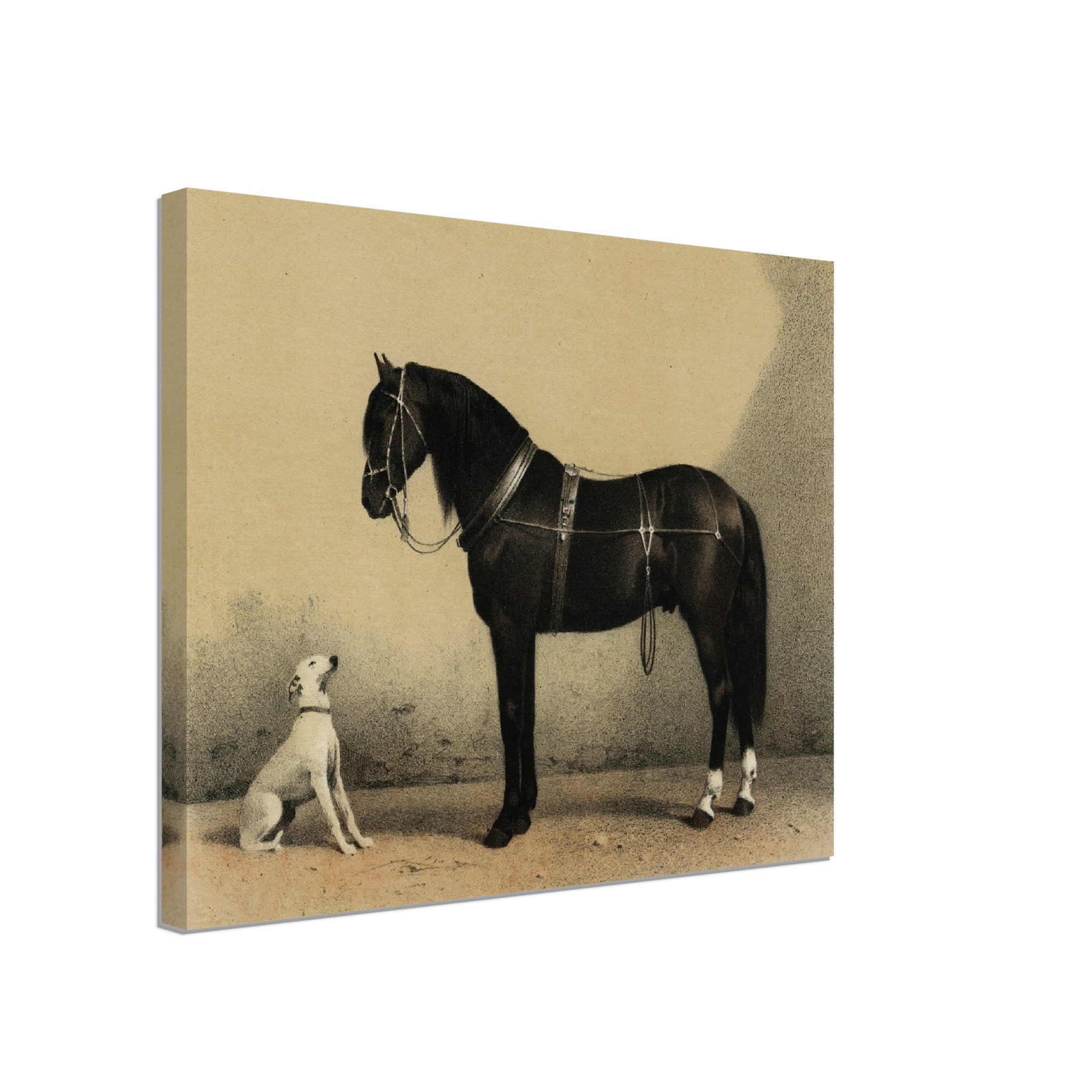 Horse And Dog Canvas, Black Orloff Horse Looking At A White Dog, They Are Friends - WallArtPrints4U