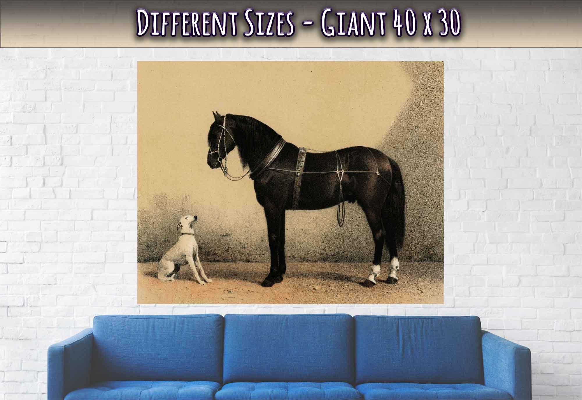 Horse And Dog Poster, Black Orloff Horse Looking At A White Dog, They Are Friends - WallArtPrints4U