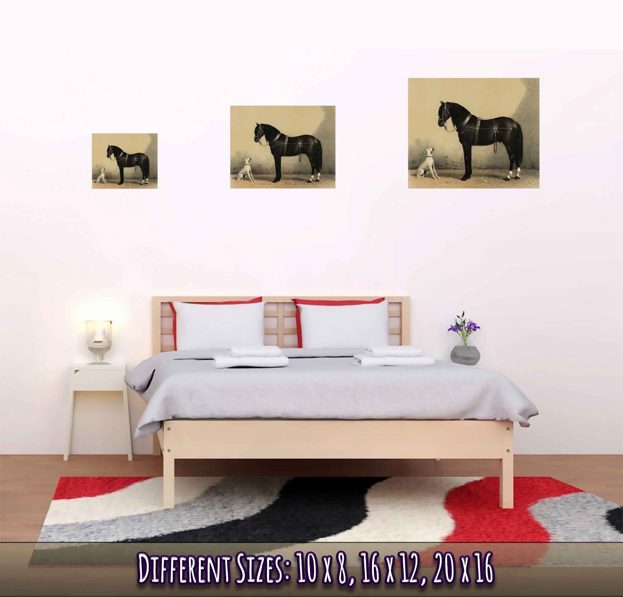 Horse And Dog Poster, Black Orloff Horse Looking At A White Dog, They Are Friends - WallArtPrints4U