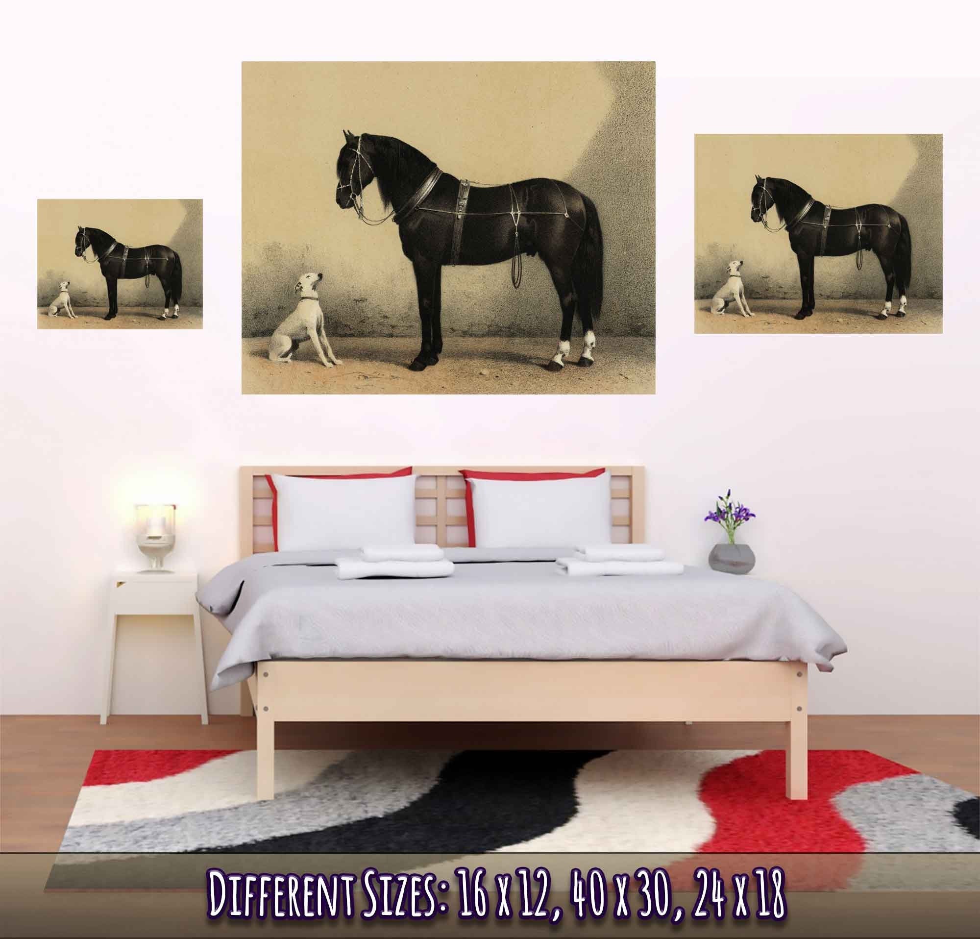 Horse And Dog Poster, Black Orloff Horse Looking At A White Dog, They Are Friends - WallArtPrints4U