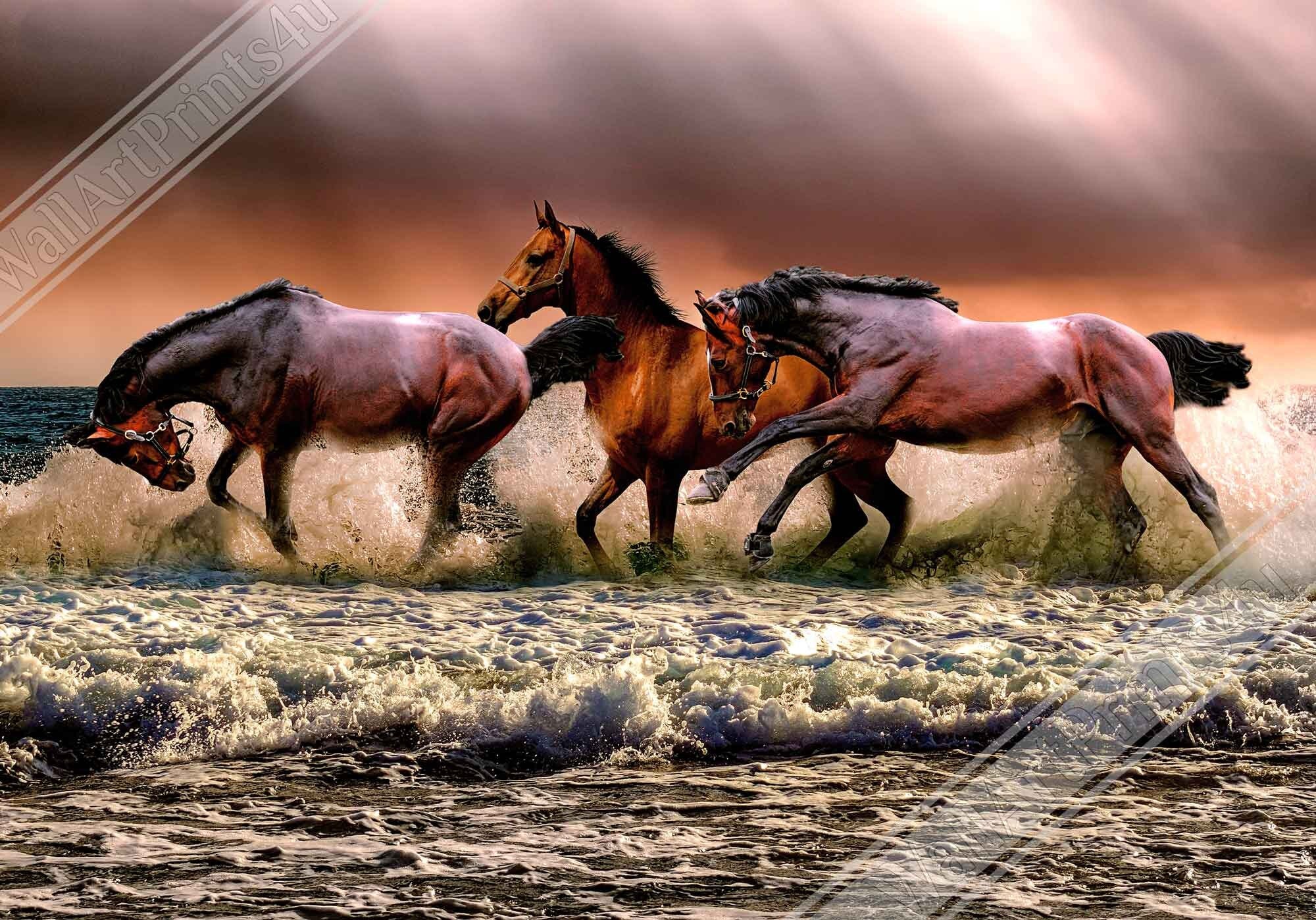 Horse Framed, Horses Running In The Ocean - Horses Running Free Framed Print - WallArtPrints4U