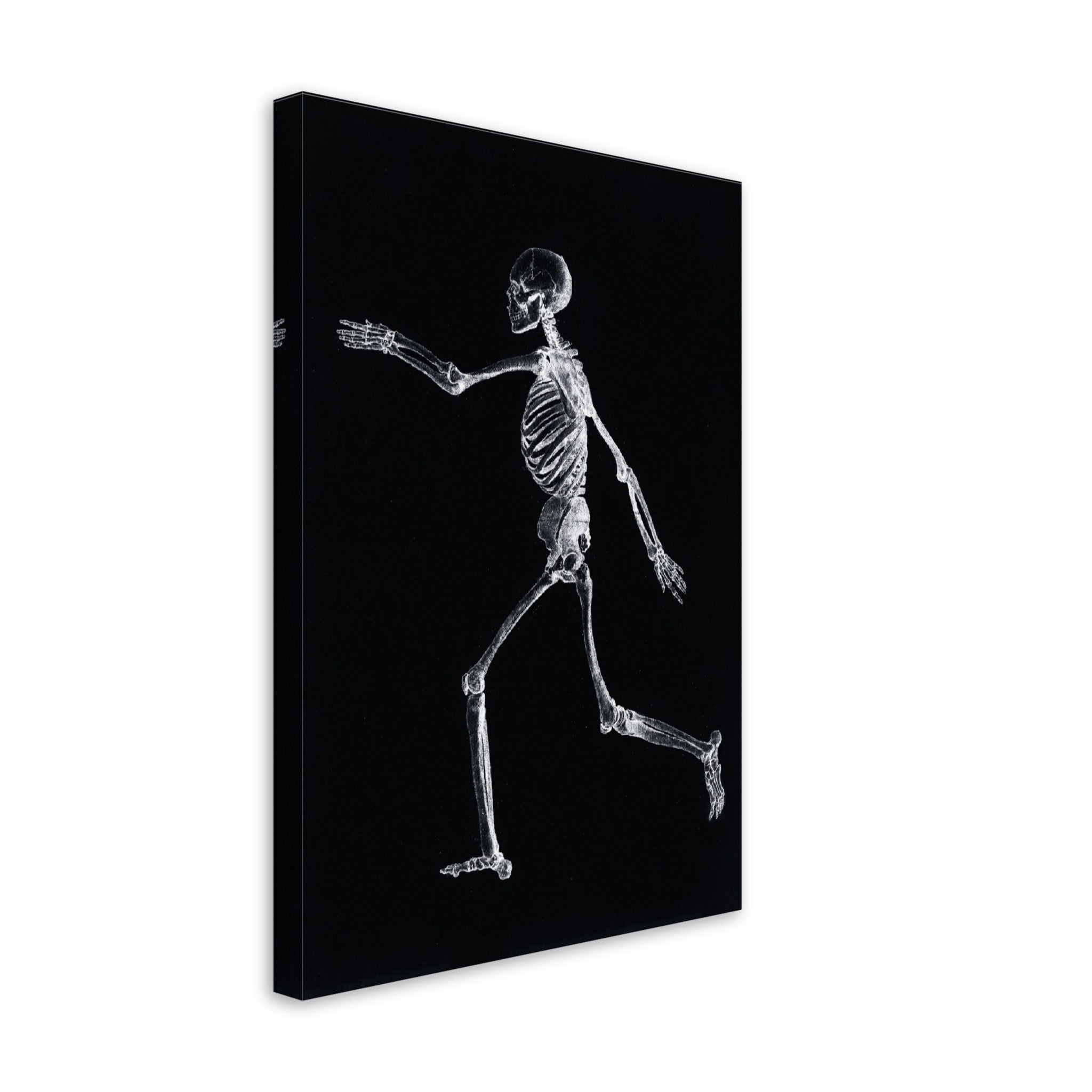 Human Skeleton Canvas, Vintage Skeleton Canvas Print Lateral View, George Stubbs - WallArtPrints4U