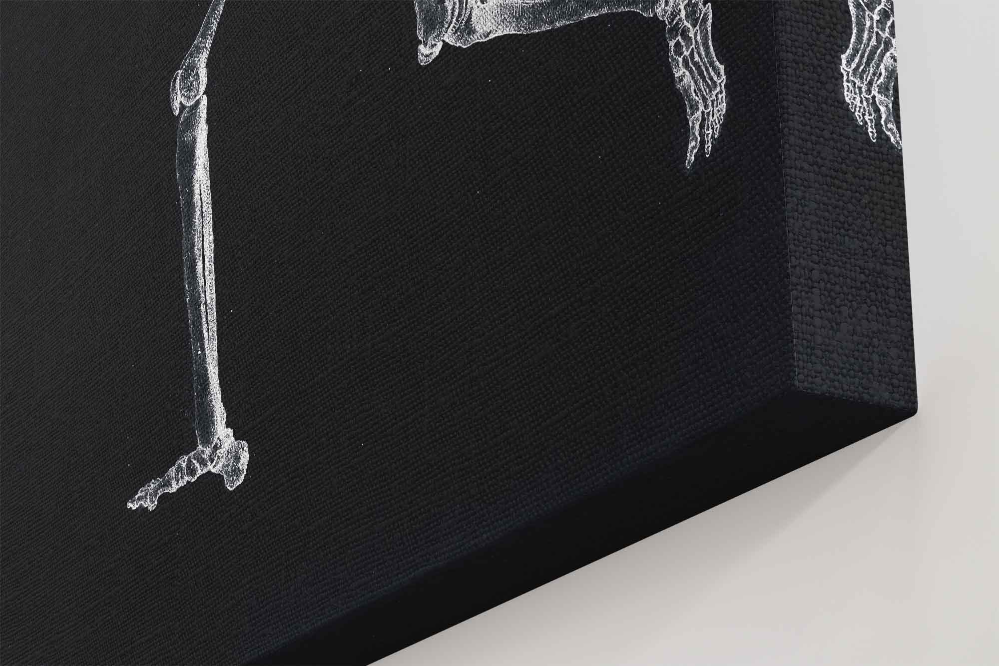 Human Skeleton Canvas, Vintage Skeleton Canvas Print Lateral View, George Stubbs - WallArtPrints4U