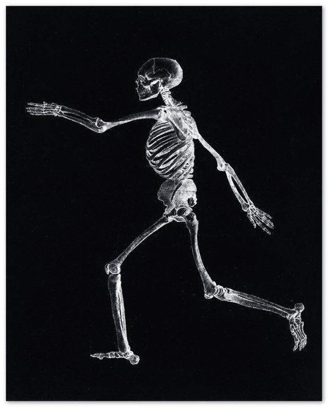 Human Skeleton Print, Vintage Skeleton Poster Lateral View, George Stubbs - WallArtPrints4U