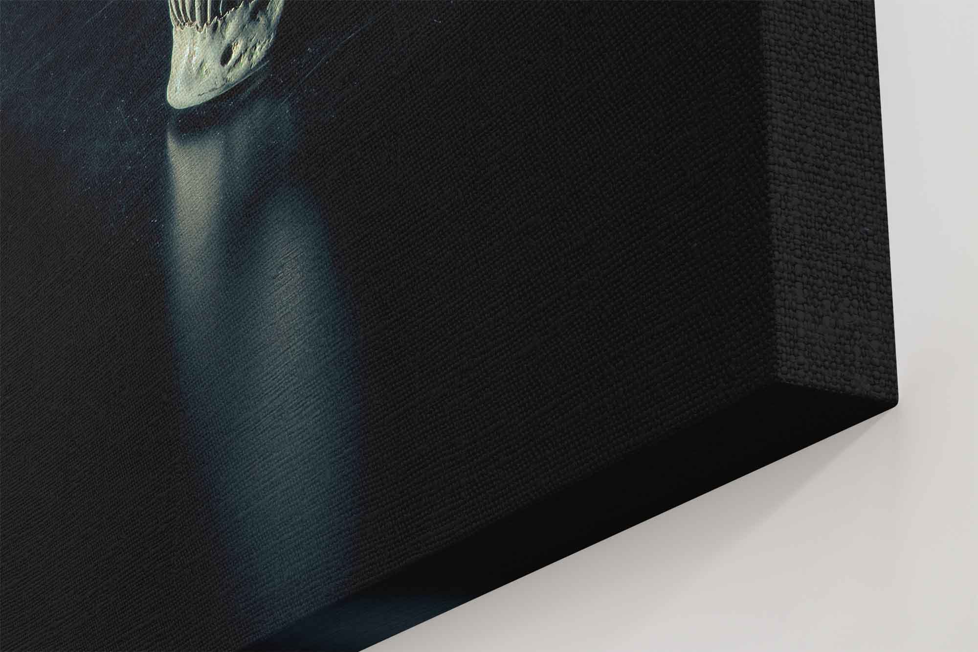 Human Skull Canvas, White Skull On Black Surface Canvas Print - WallArtPrints4U