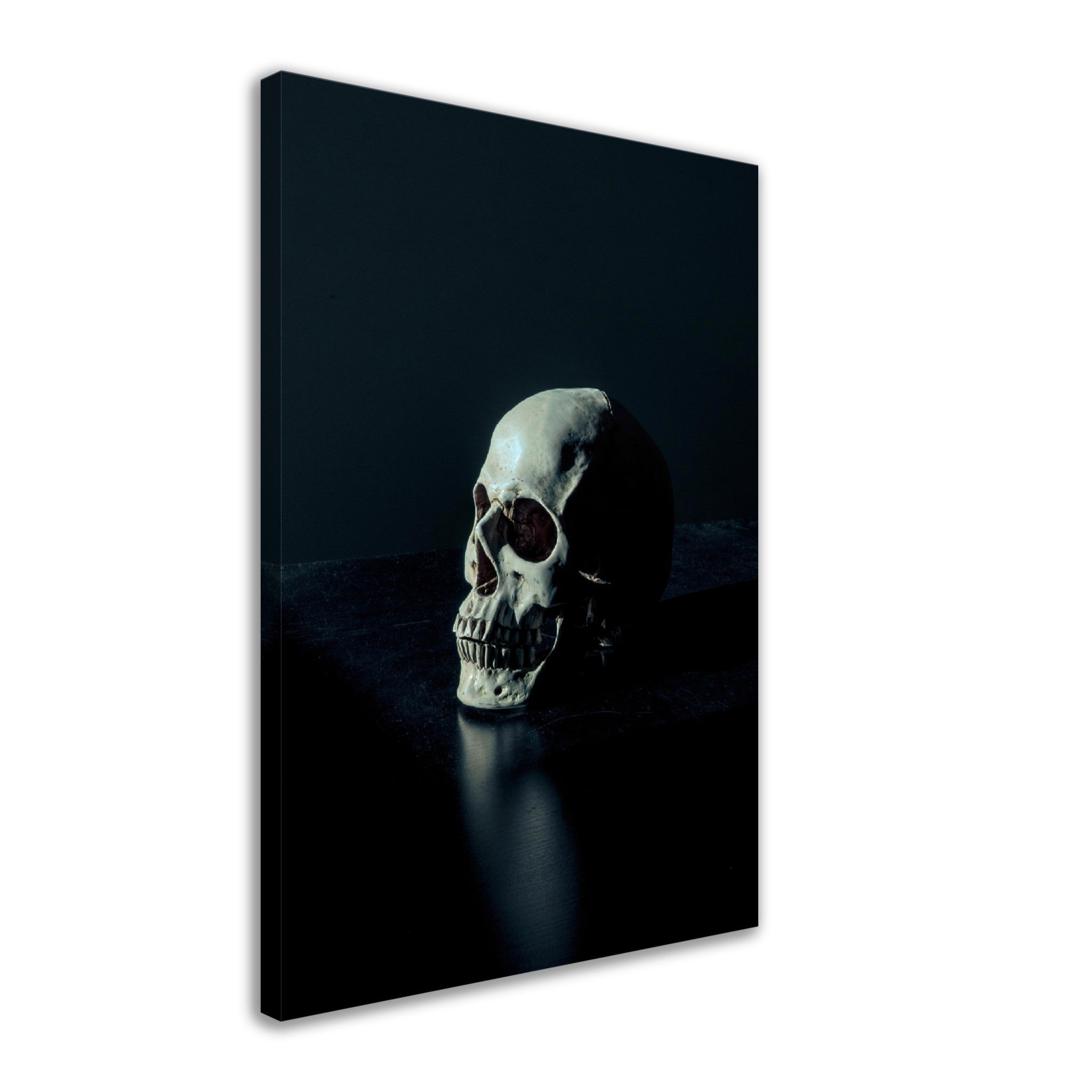 Human Skull Canvas, White Skull On Black Surface Canvas Print - WallArtPrints4U