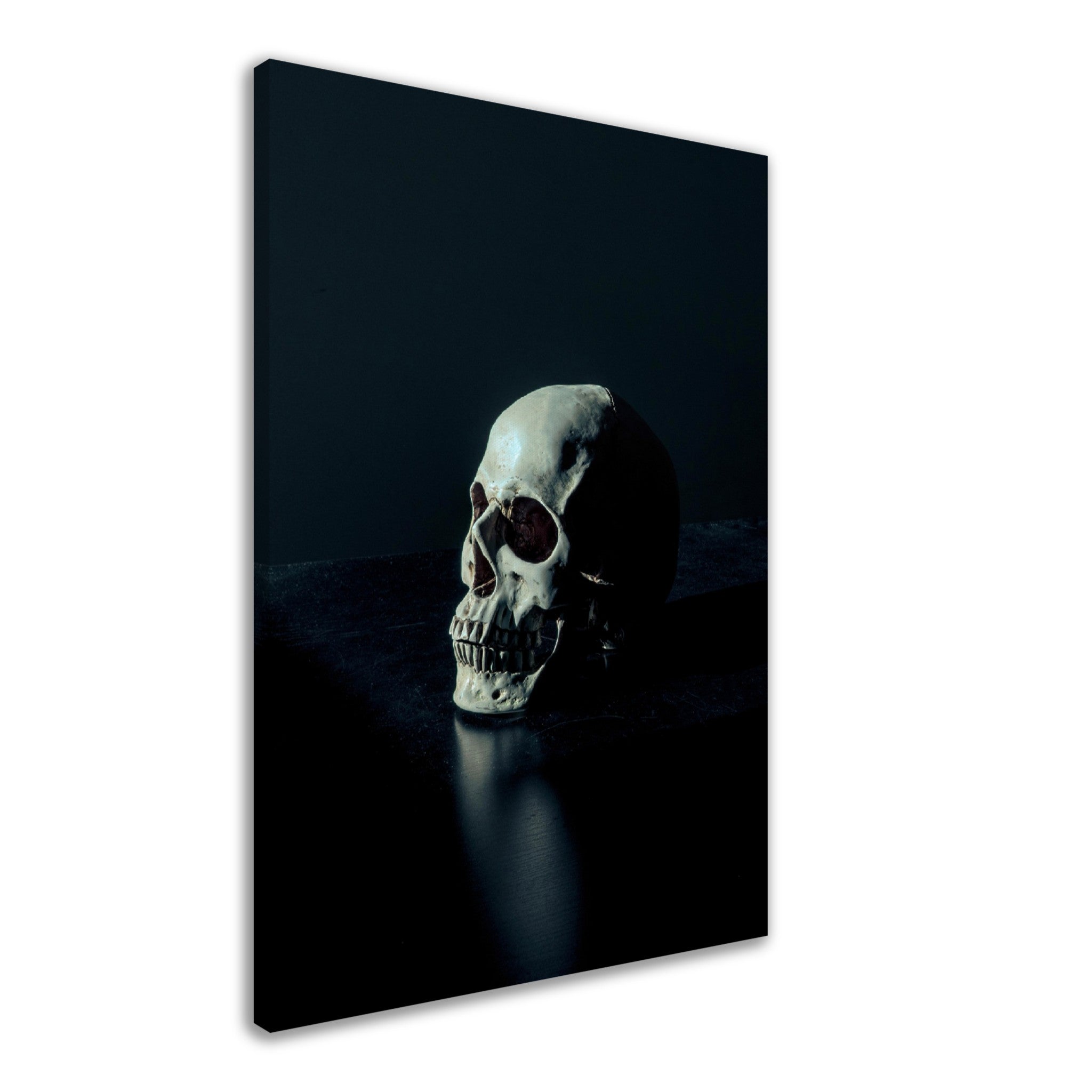 Human Skull Canvas, White Skull On Black Surface Canvas Print - WallArtPrints4U