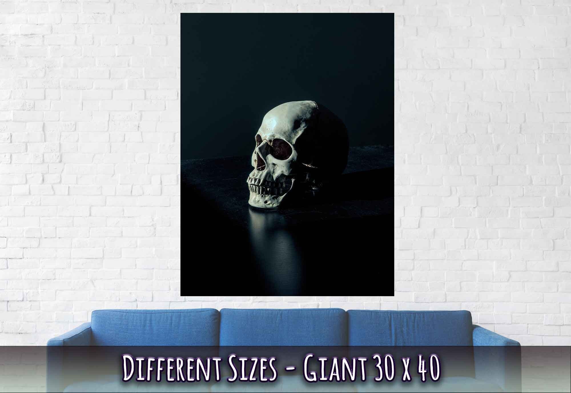 Human Skull Poster, White Skull On Black Surface Print - WallArtPrints4U