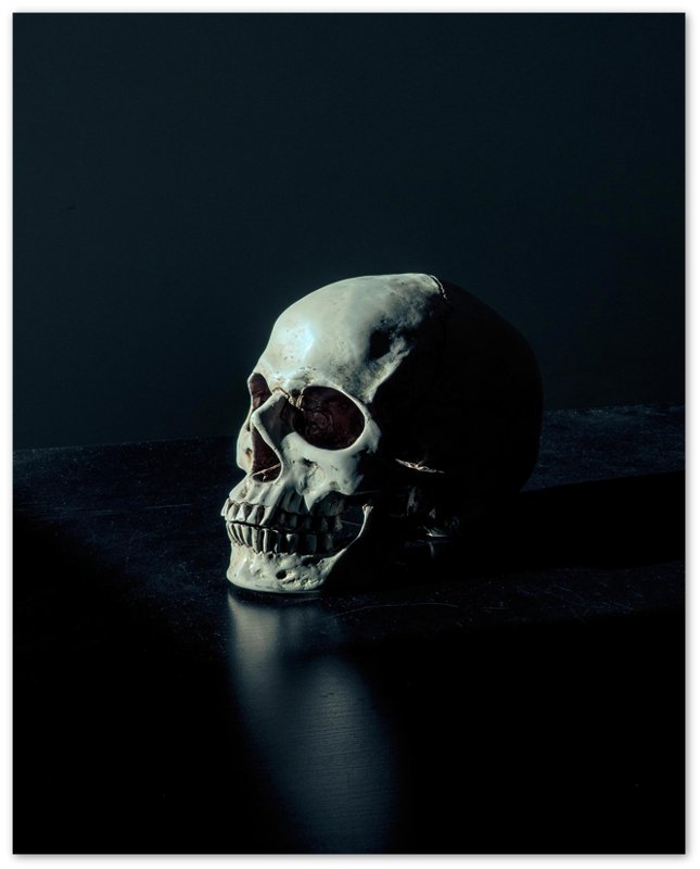 Human Skull Poster, White Skull On Black Surface Print - WallArtPrints4U