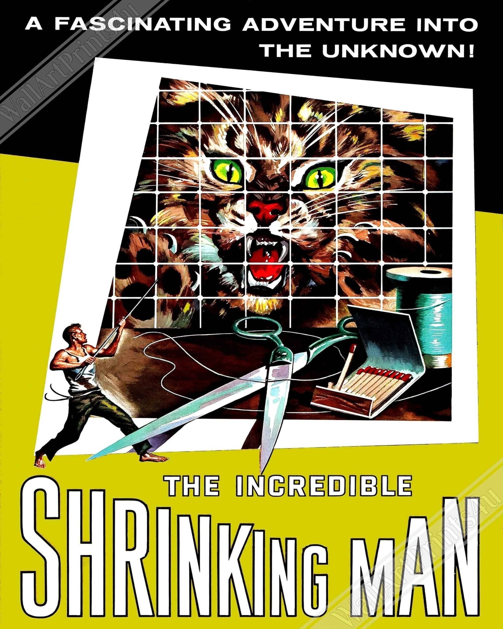 Incredible Shrinking Man Canvas, Vintage Movie Canvas 1957 Canvas Film Art - WallArtPrints4U