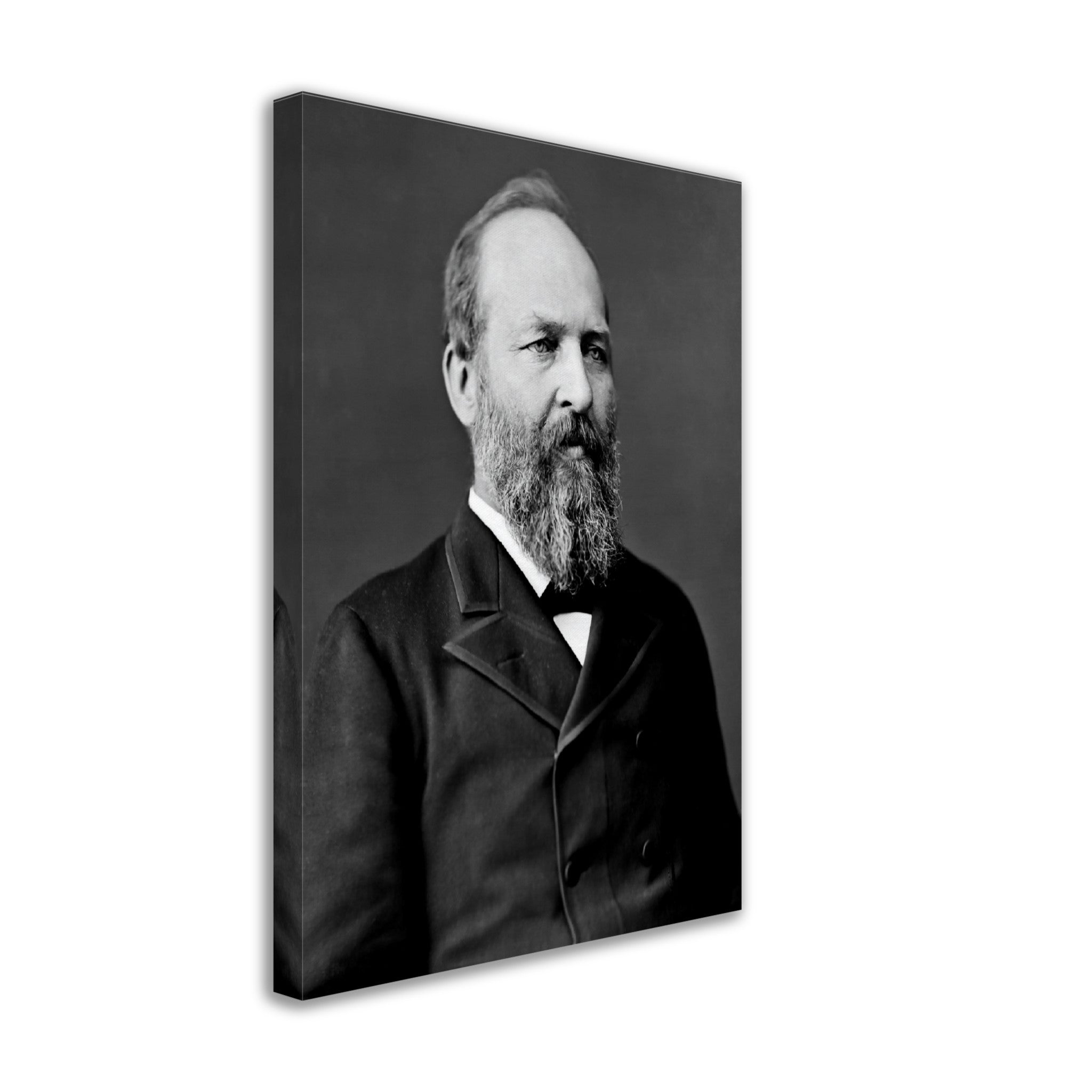James Garfield Canvas, 20th President Of Usa, Assasinated, Vintage Photo Portrait - James Garfield Canvas Print - WallArtPrints4U