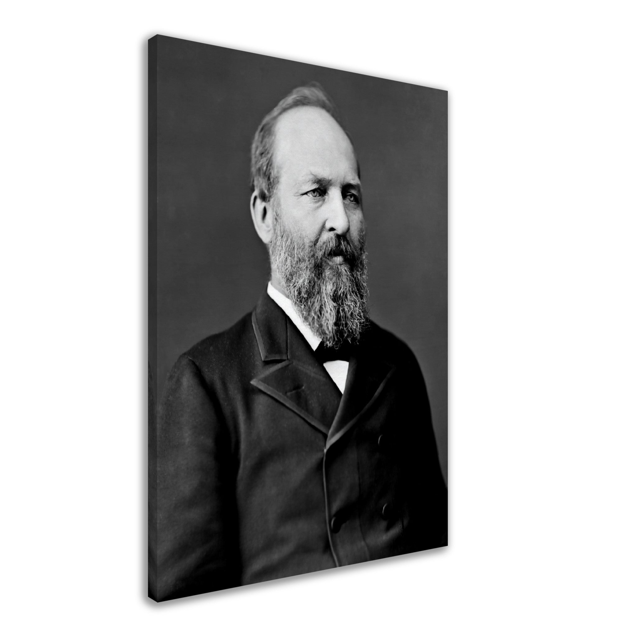 James Garfield Canvas, 20th President Of Usa, Assasinated, Vintage Photo Portrait - James Garfield Canvas Print - WallArtPrints4U
