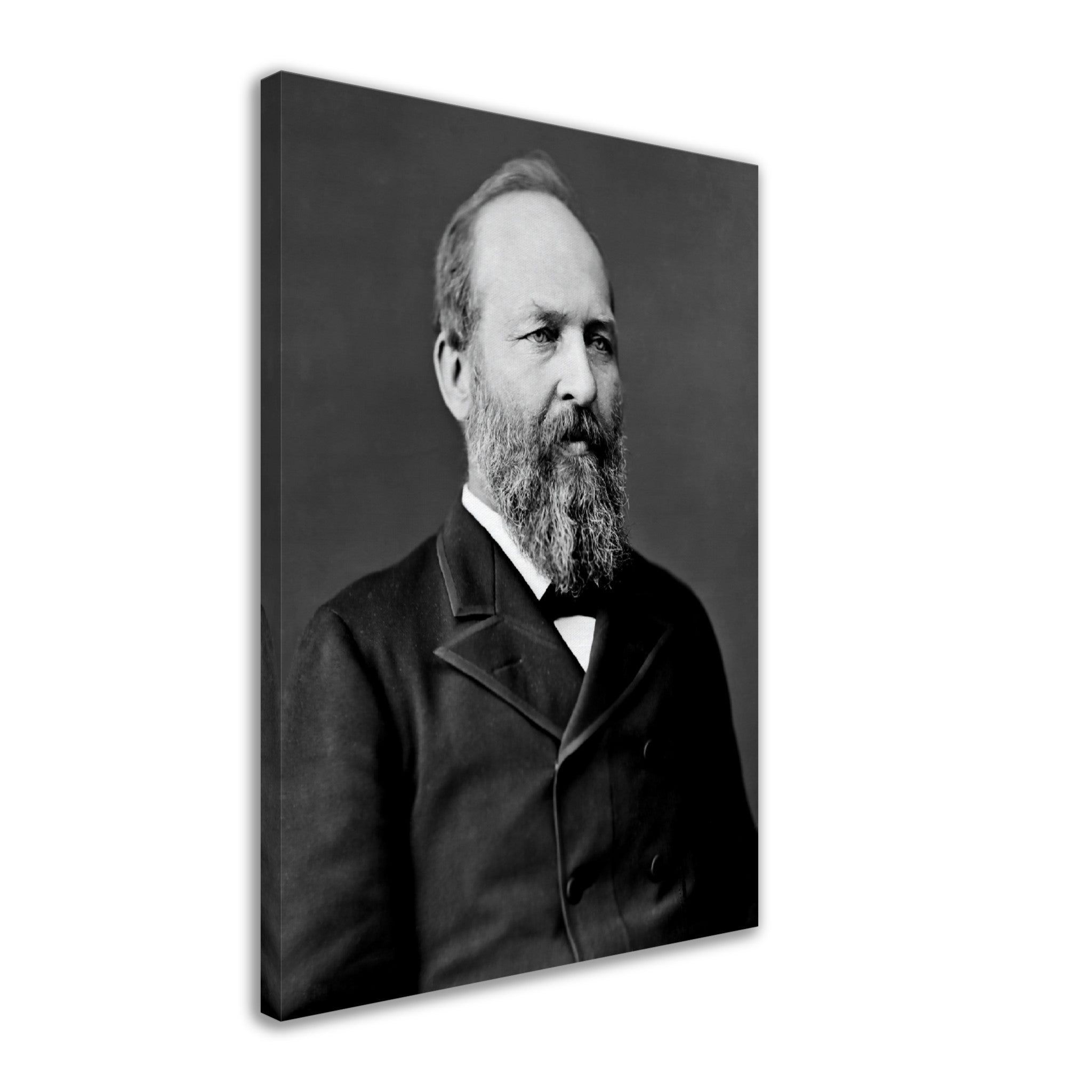 James Garfield Canvas, 20th President Of Usa, Assasinated, Vintage Photo Portrait - James Garfield Canvas Print - WallArtPrints4U