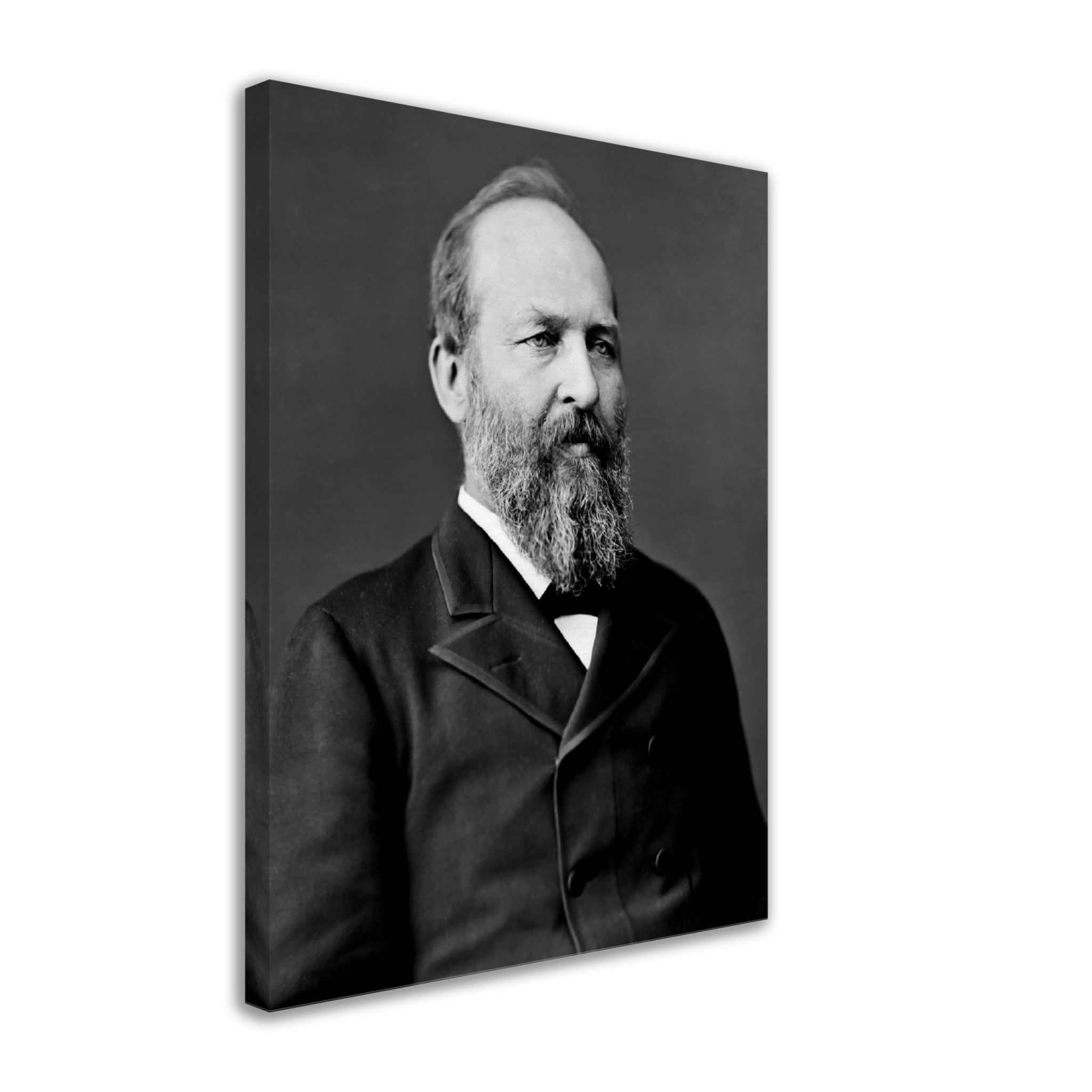 James Garfield Canvas, 20th President Of Usa, Assasinated, Vintage Photo Portrait - James Garfield Canvas Print - WallArtPrints4U