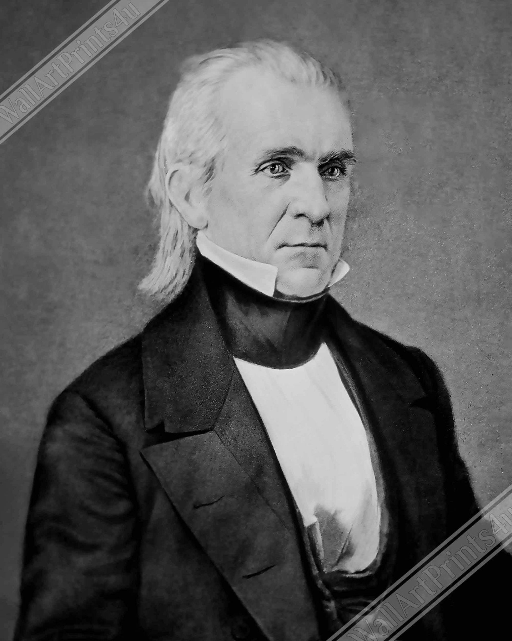 James K Polk Poster, 11th President Of Usa, Vintage Portrait Photo - James K Polk Print - WallArtPrints4U