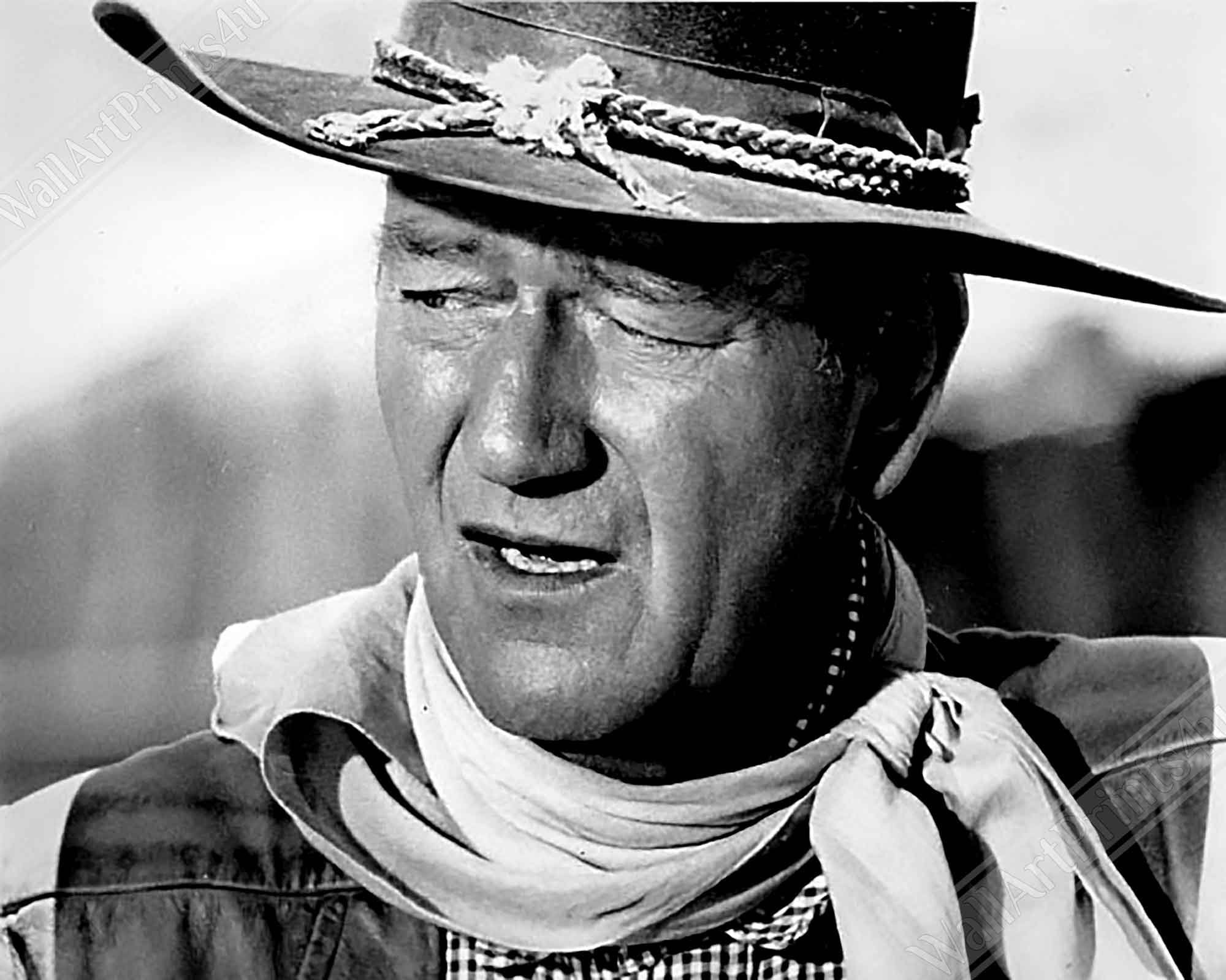 John Wayne Poster, Cowboy Poster 1961, Vintage Photo, John Wayne Print, Hollywood Silver Screen Star - WallArtPrints4U