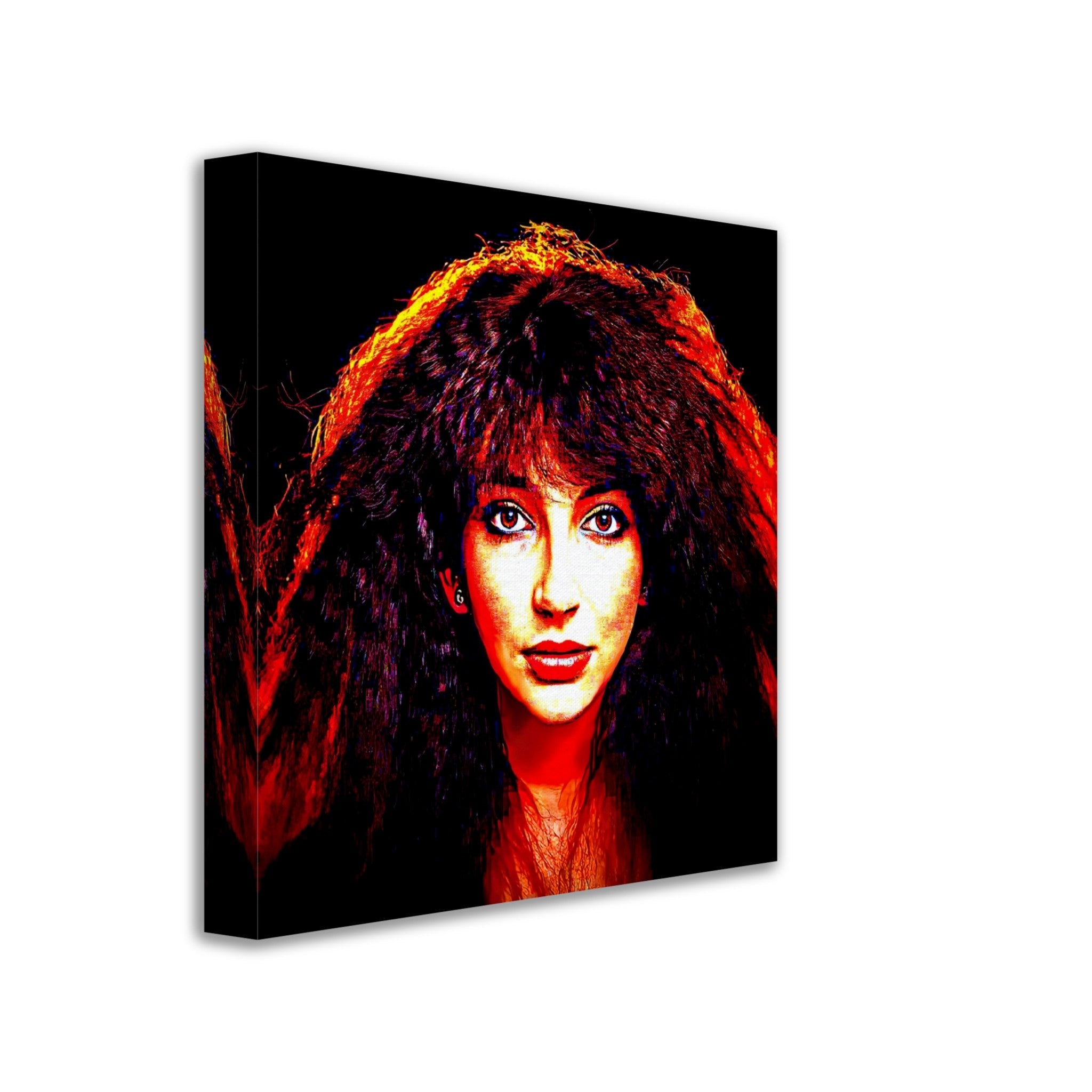 Kate Bush Canvas, Vintage Kate Bush 1978 - Kate Bush Canvas Print - WallArtPrints4U