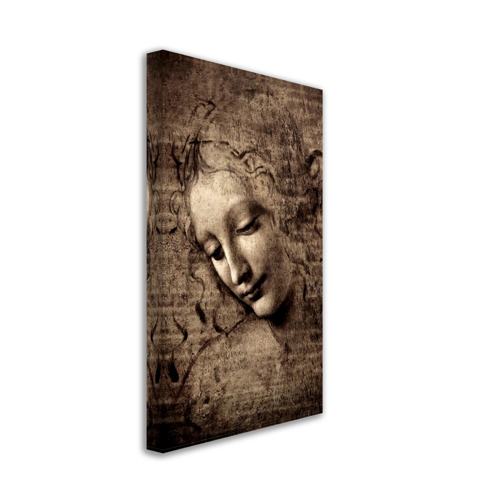 Leonardo Da Vinci Canvas Print, La Scapigliata Canvas - WallArtPrints4U