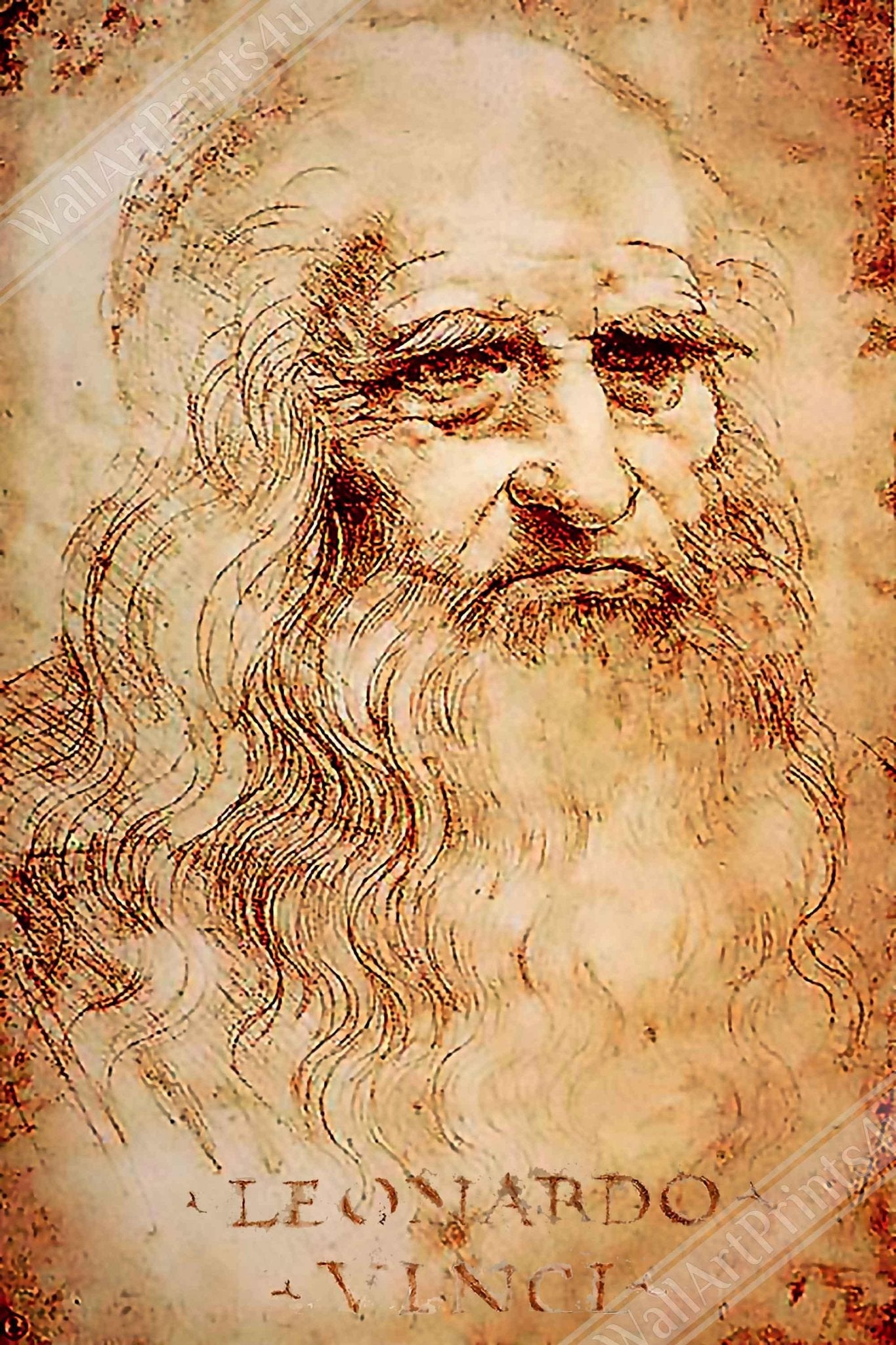 Leonardo Da Vinci Canvas, Self Portrait - Iconic Leonardo Da Vinci Canvas Print - Historical Genius - WallArtPrints4U