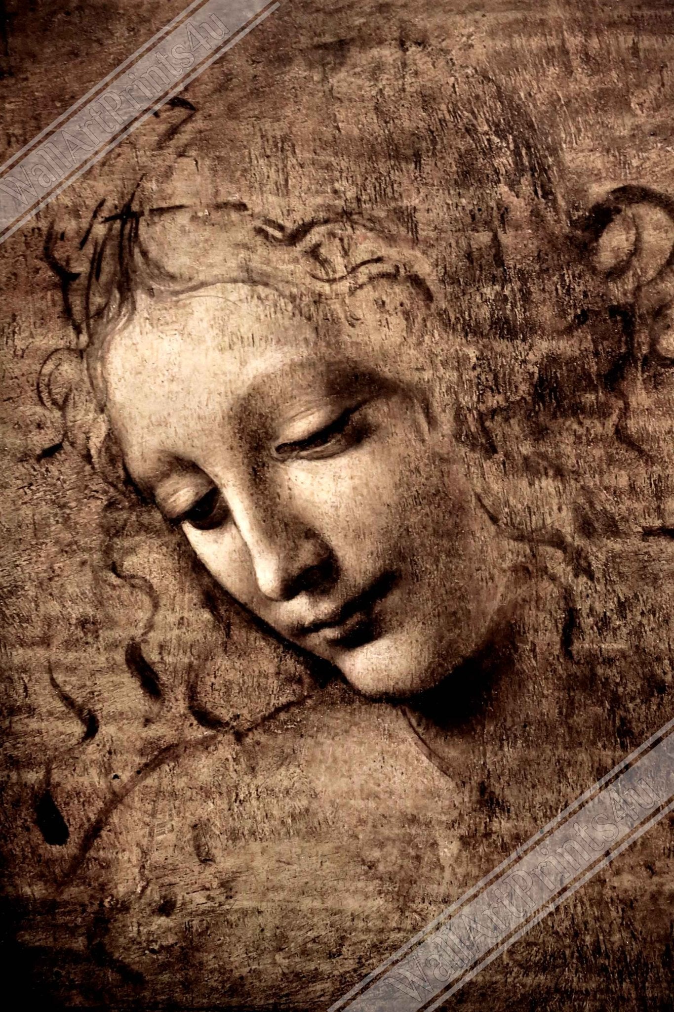 Leonardo Da Vinci Framed Print, La Scapigliata Framed - WallArtPrints4U