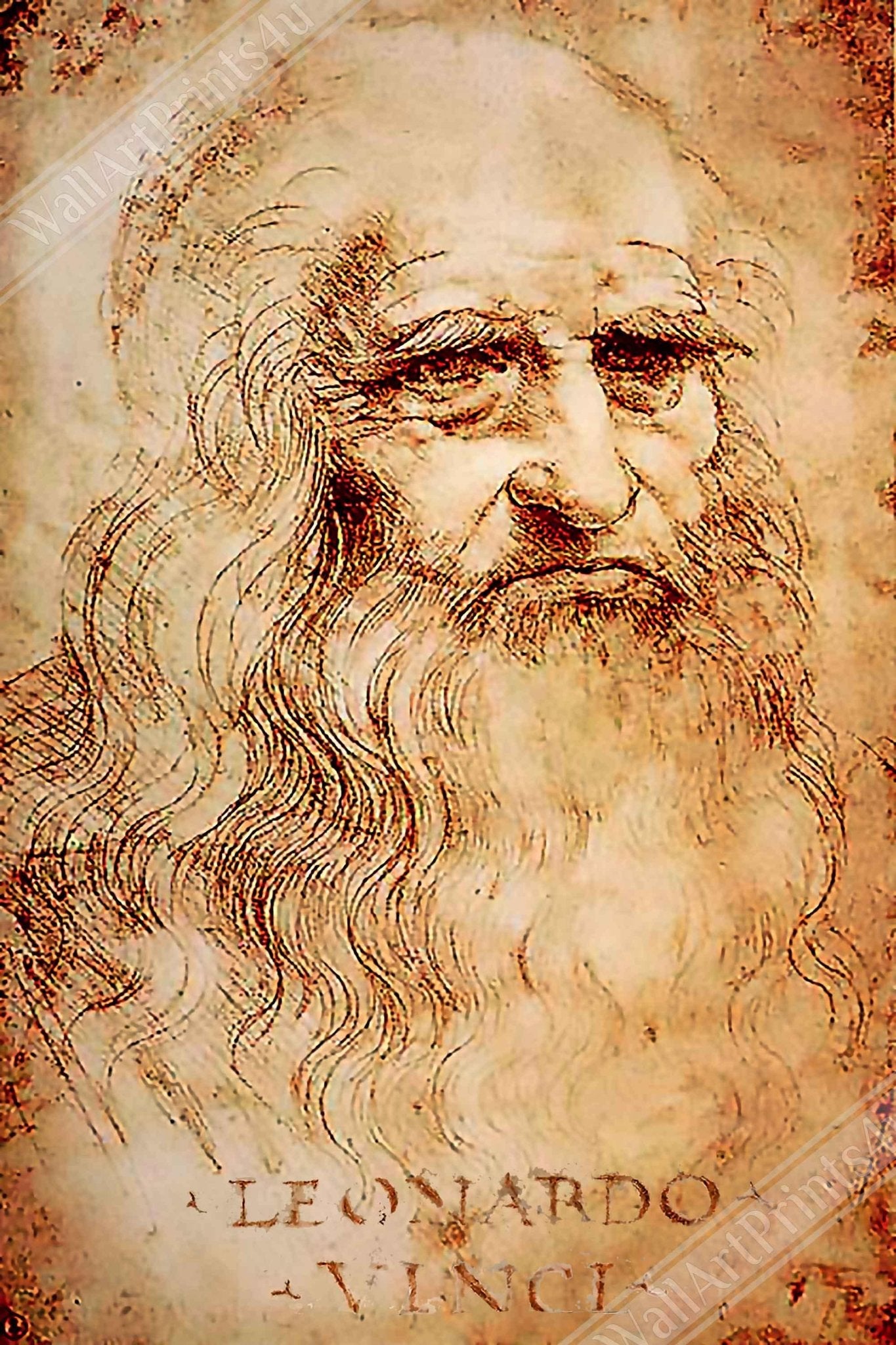 Leonardo Da Vinci Framed, Self Portrait - Iconic Leonardo Da Vinci Framed Print - Historical Genius - WallArtPrints4U