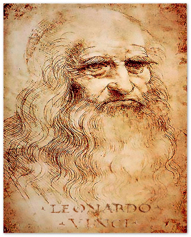 Leonardo Da Vinci Poster, Self Portrait - Iconic Leonardo Da Vinci Print - Historical Genius - WallArtPrints4U