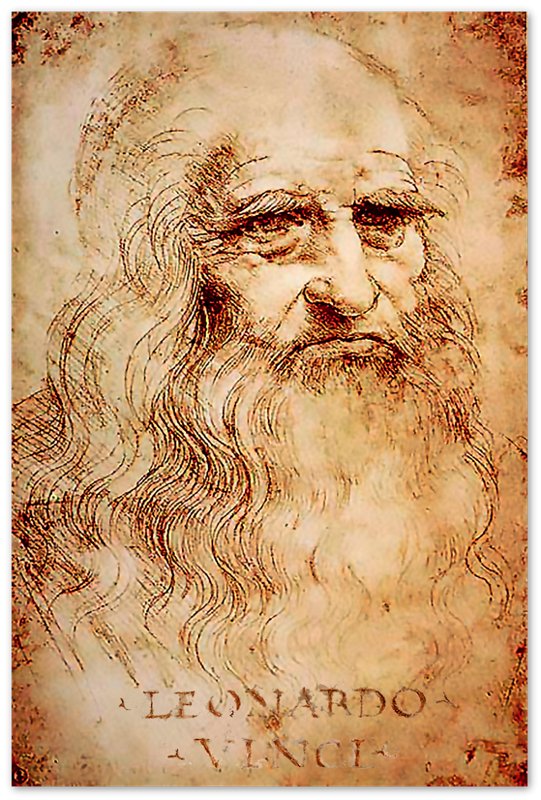 Leonardo Da Vinci Poster, Self Portrait - Iconic Leonardo Da Vinci Print - Historical Genius - WallArtPrints4U