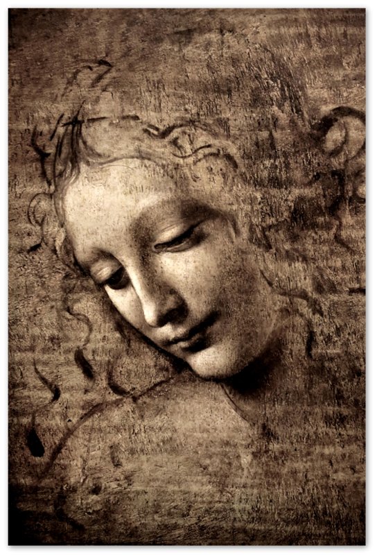 Leonardo Da Vinci Print, La Scapigliata Poster - WallArtPrints4U