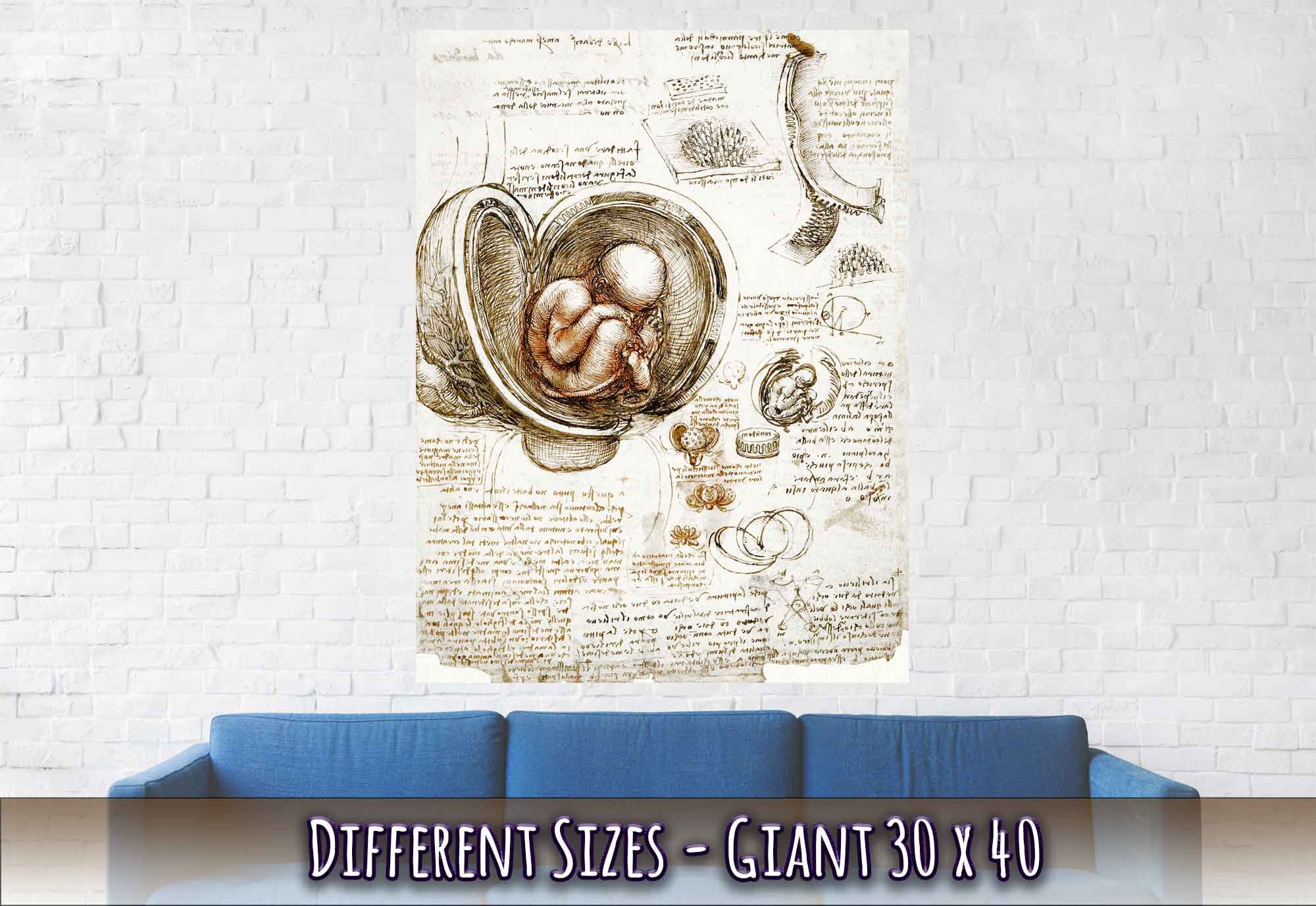 Leonardo Da Vinci Print, Studies Of Foetus In The Womb Poster - WallArtPrints4U