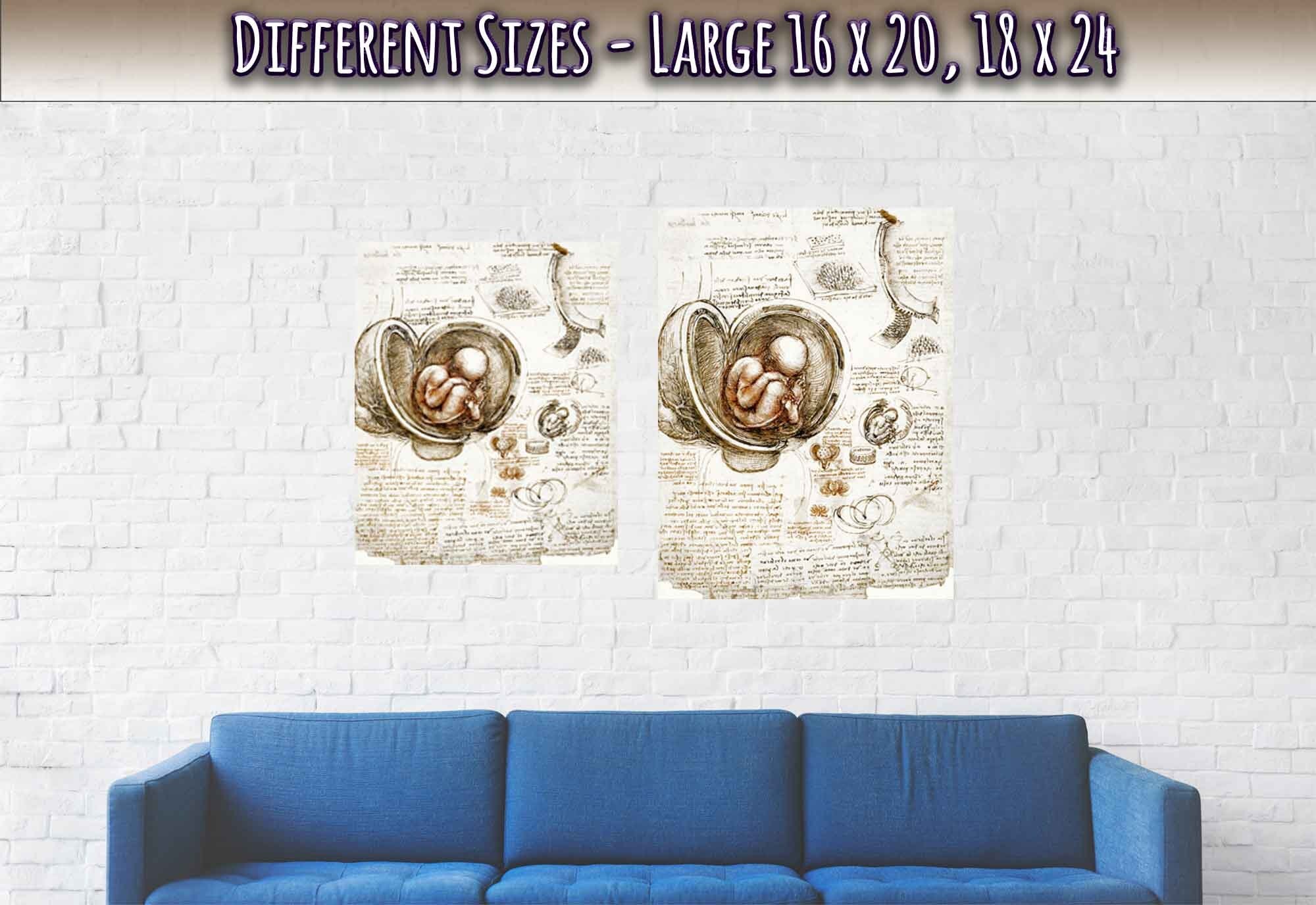 Leonardo Da Vinci Print, Studies Of Foetus In The Womb Poster - WallArtPrints4U