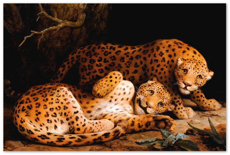 Leopard Poster, Vintage Leopard Art, Leopards At Play George Stubbs - WallArtPrints4U