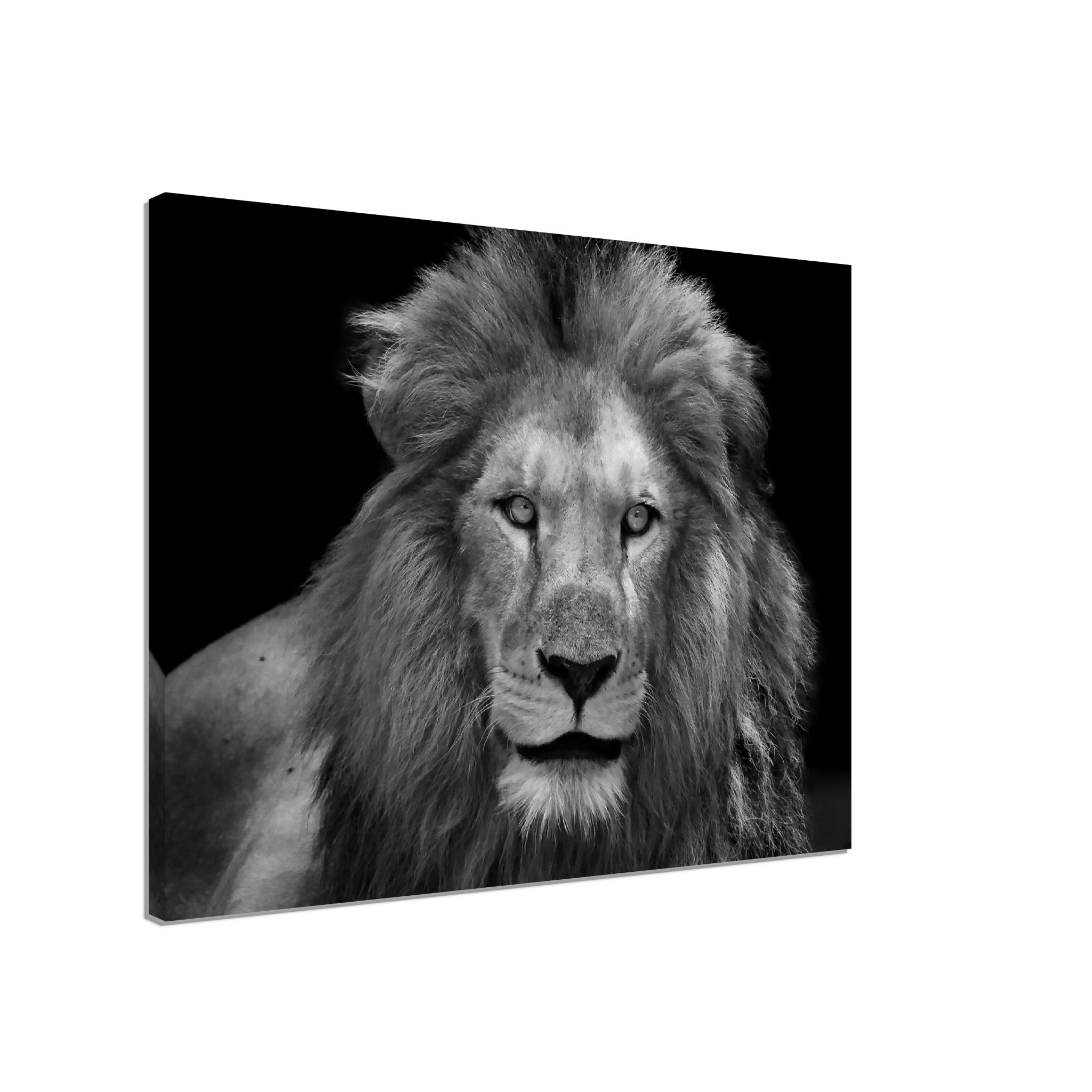 Lion Canvas Black And White Giant Lion Canvas, Epic Lion Wall Art, Various Sizes, Lion Canvas Art - WallArtPrints4U